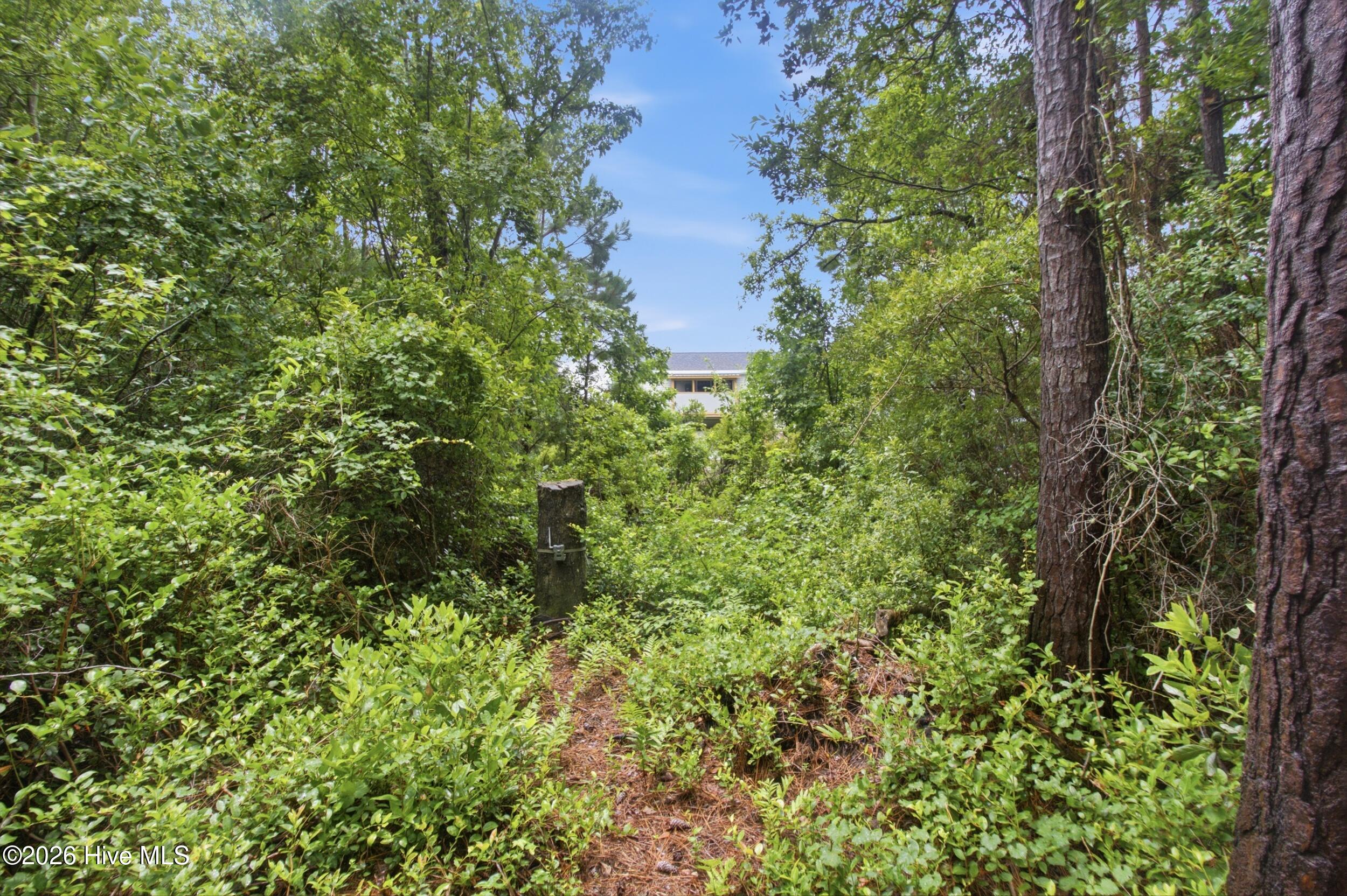 305 Tropical Trail,Beaufort