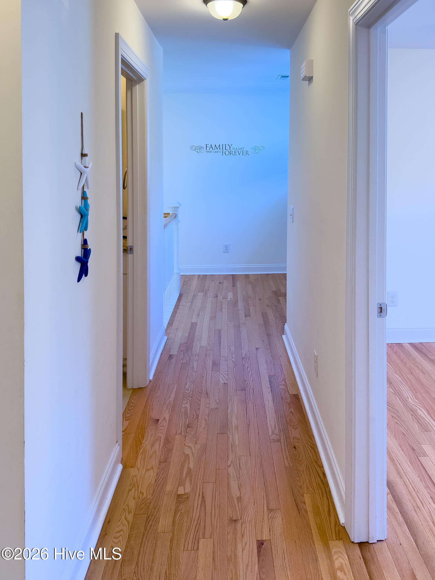 100563119 | Photo 54