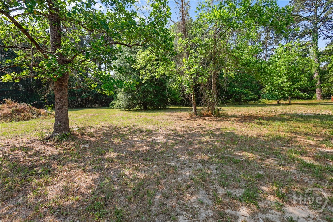 189 Sweet Gum Street, Newington, GA, 30446