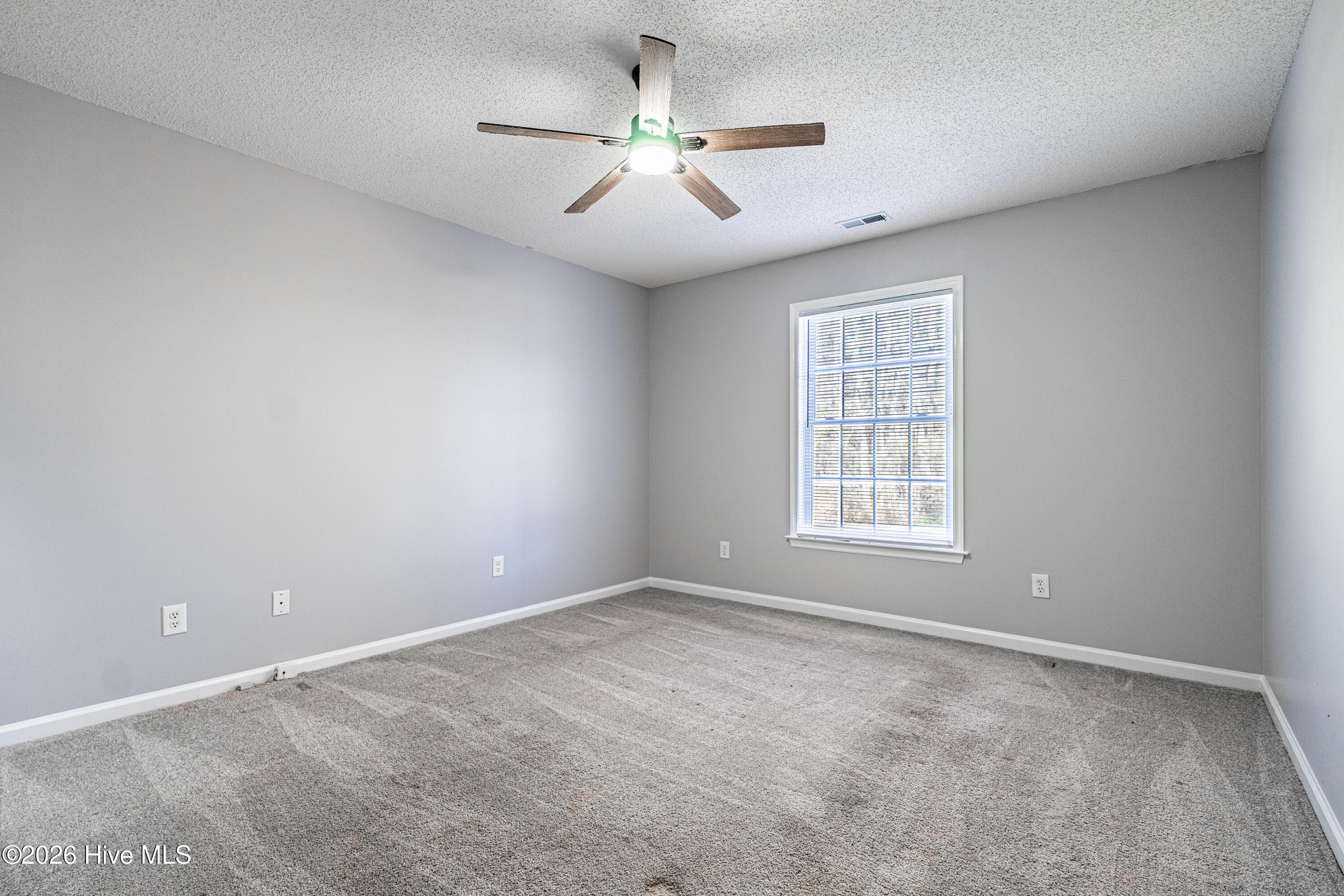 100557378 | Photo 37