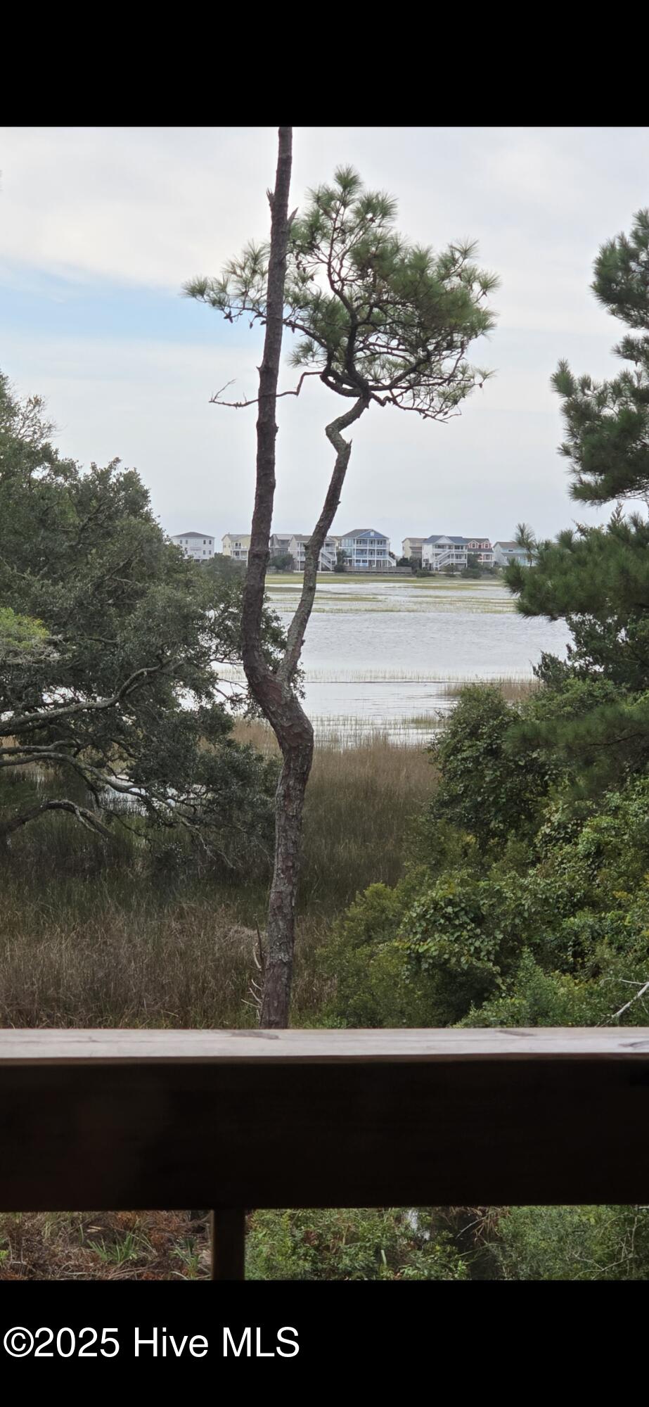 100547303 | Photo 37