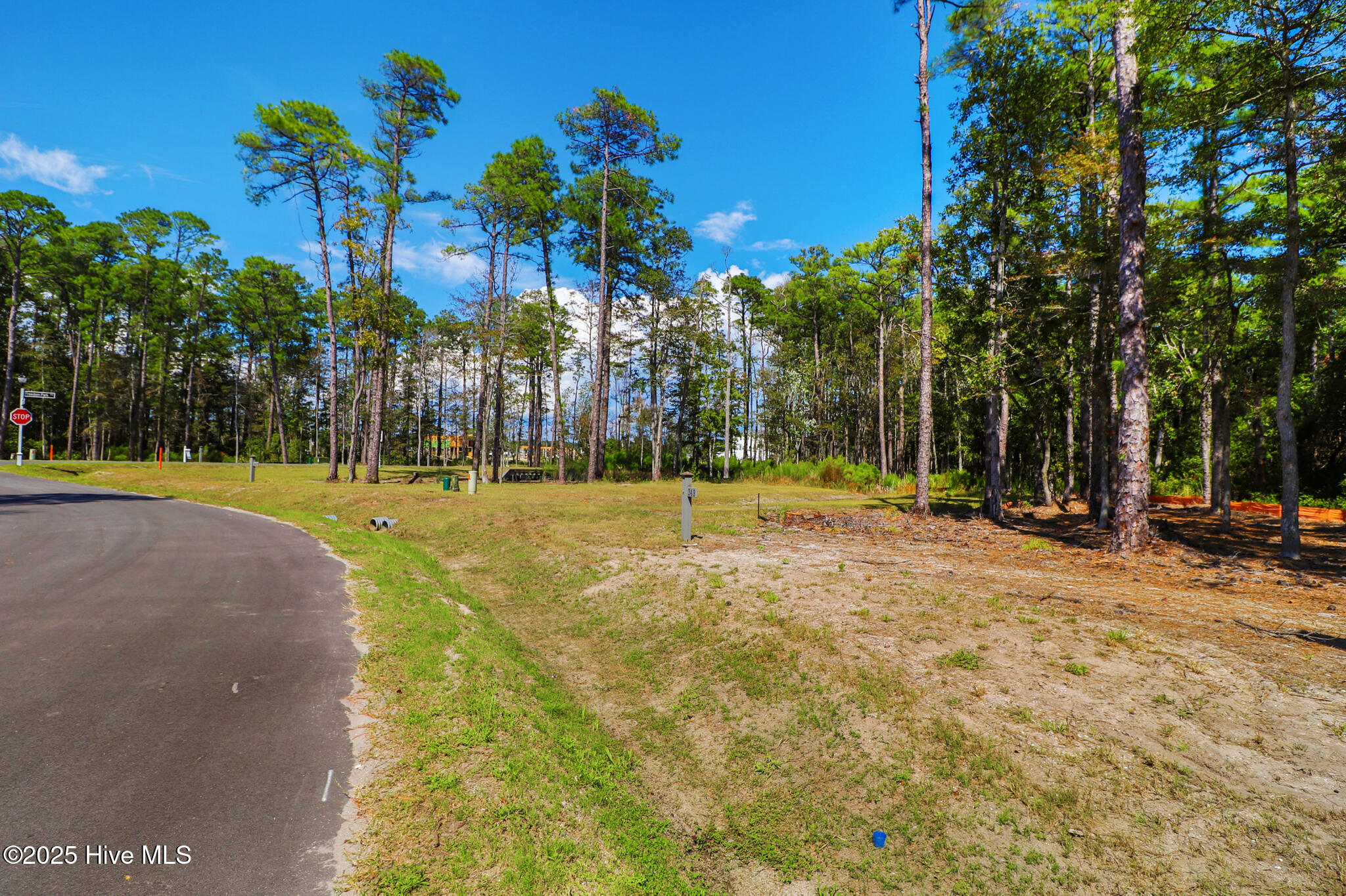 420 Summer Duck Drive,Beaufort