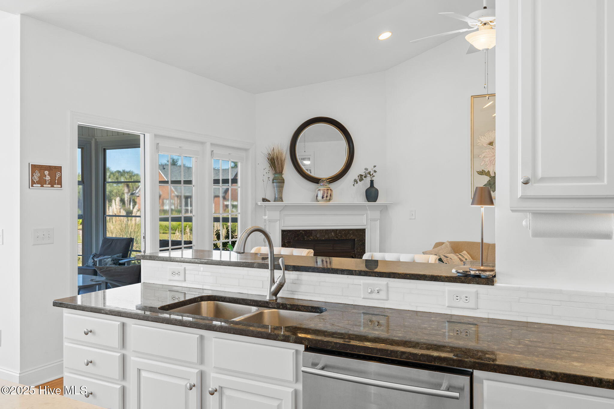 100538091 | Photo 24