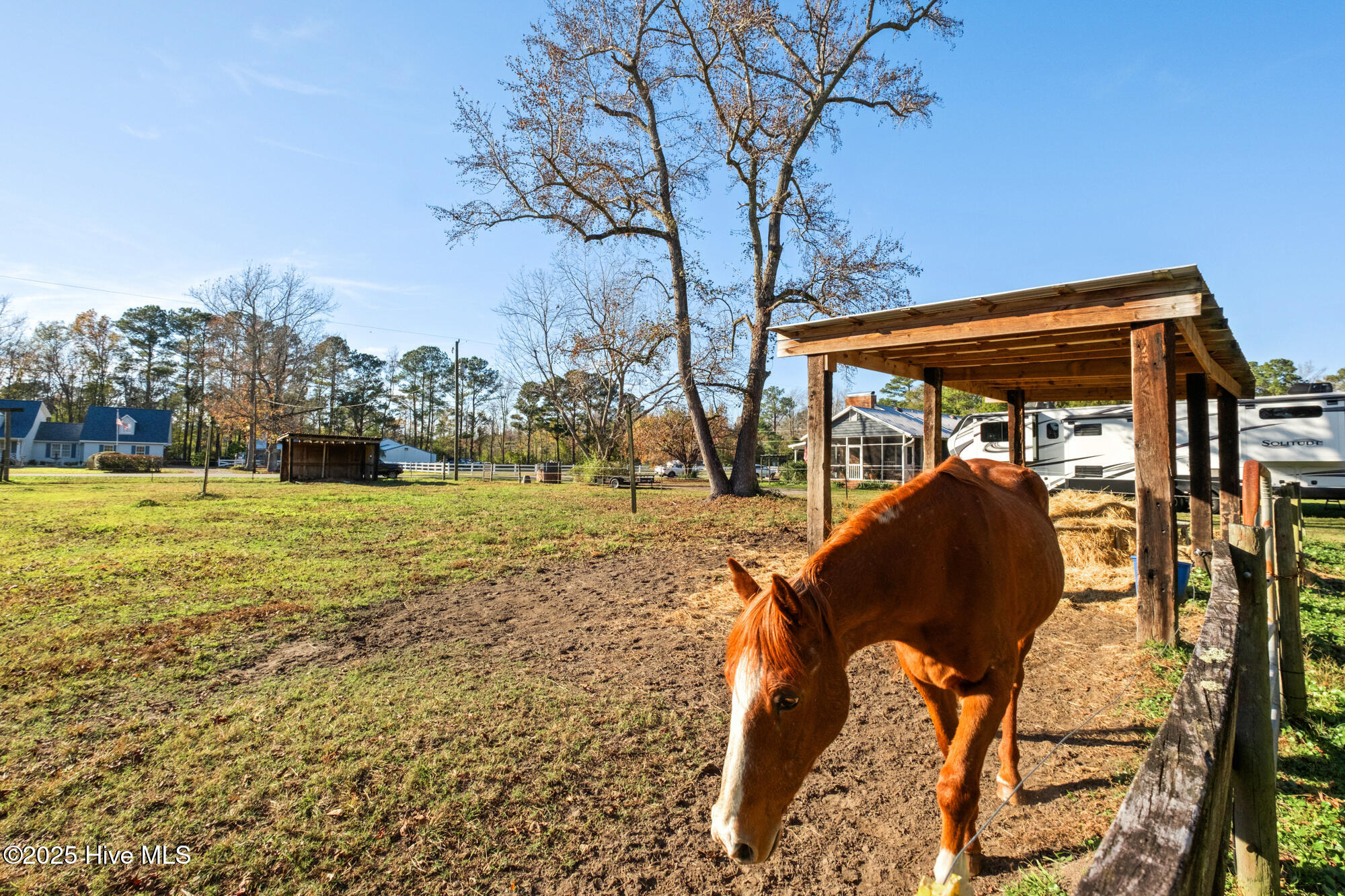 100542459 | Photo 32