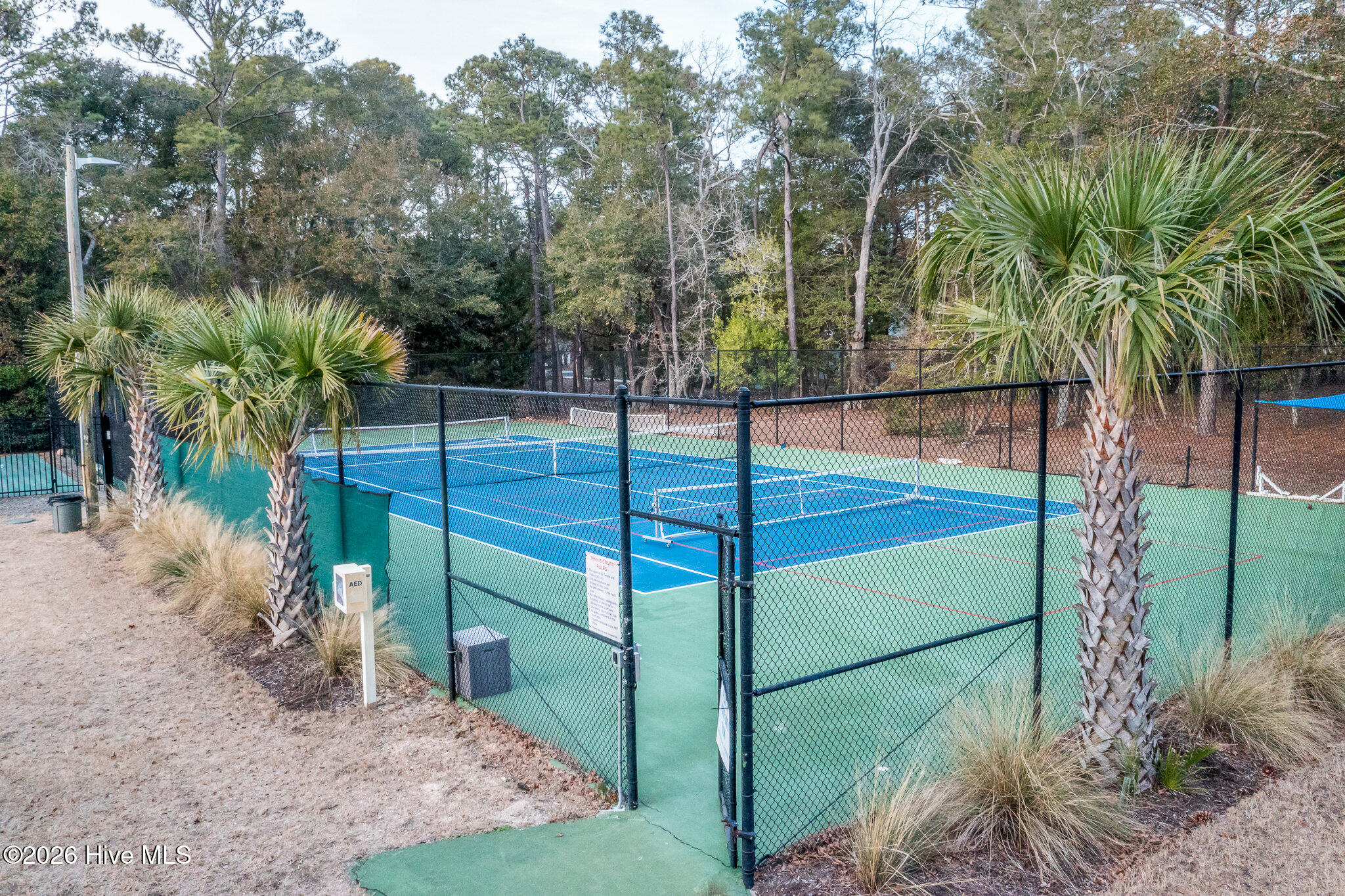 100549420 | Photo 53