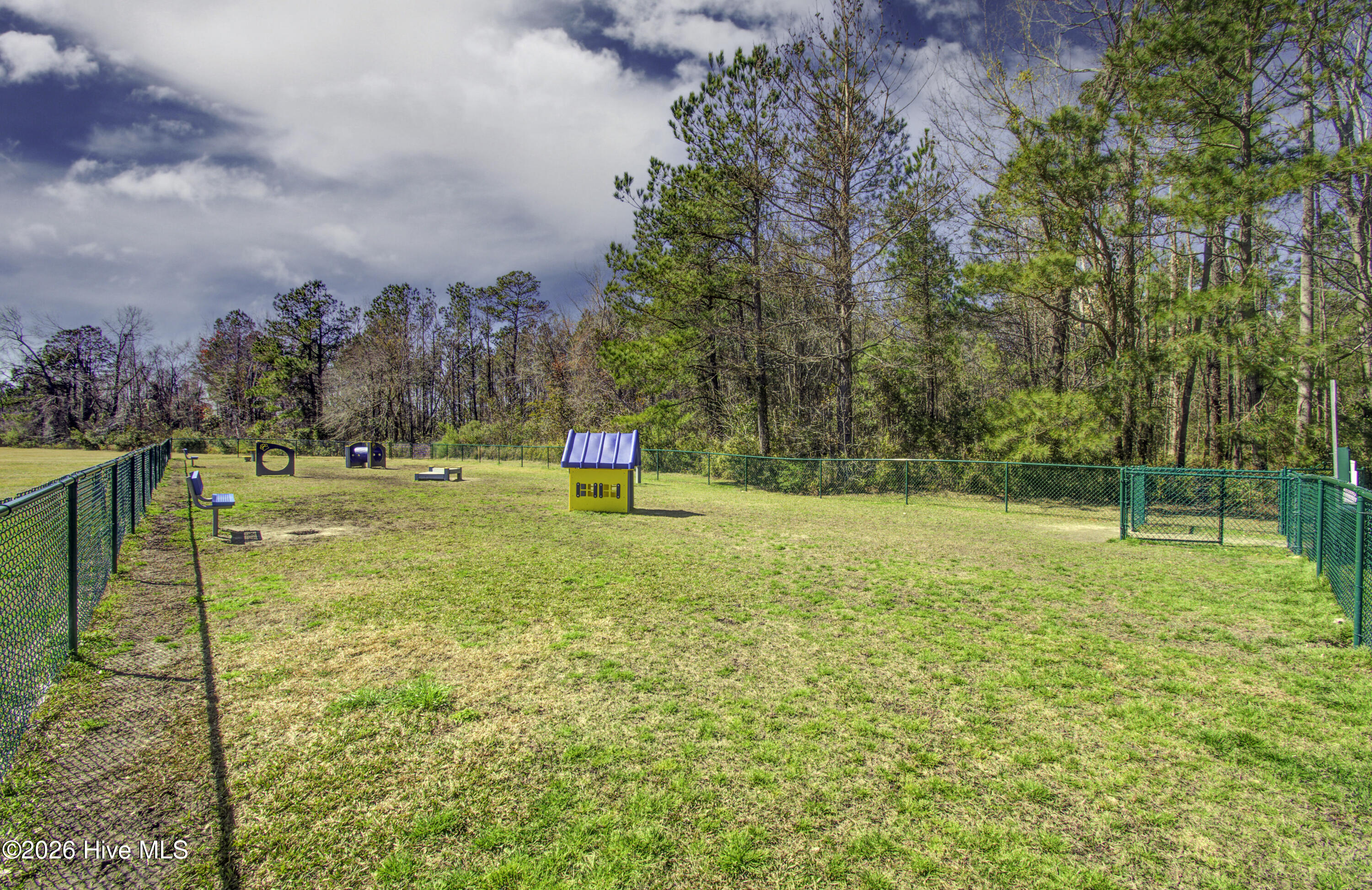 100549263 | Photo 78