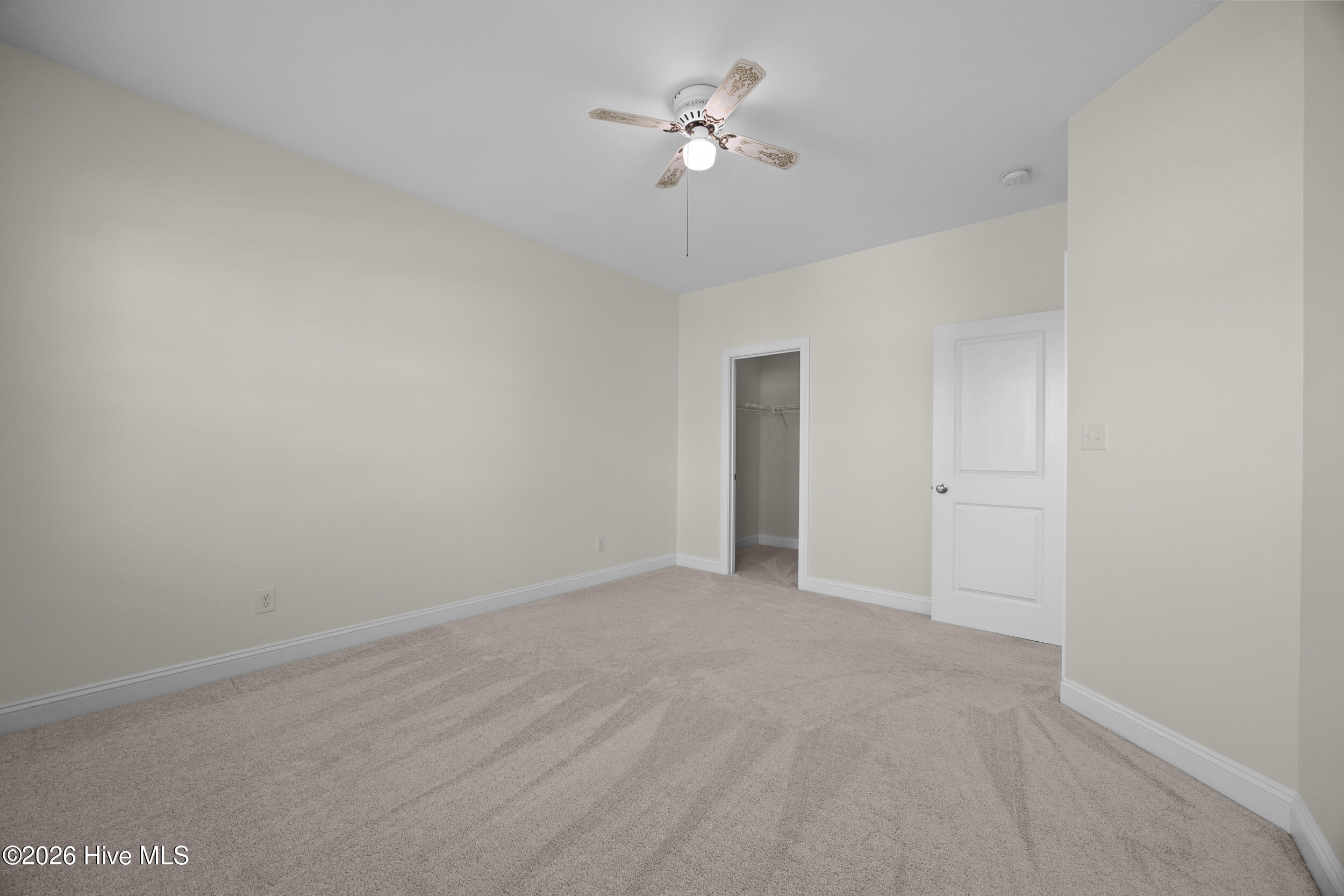 100568241 | Photo 55