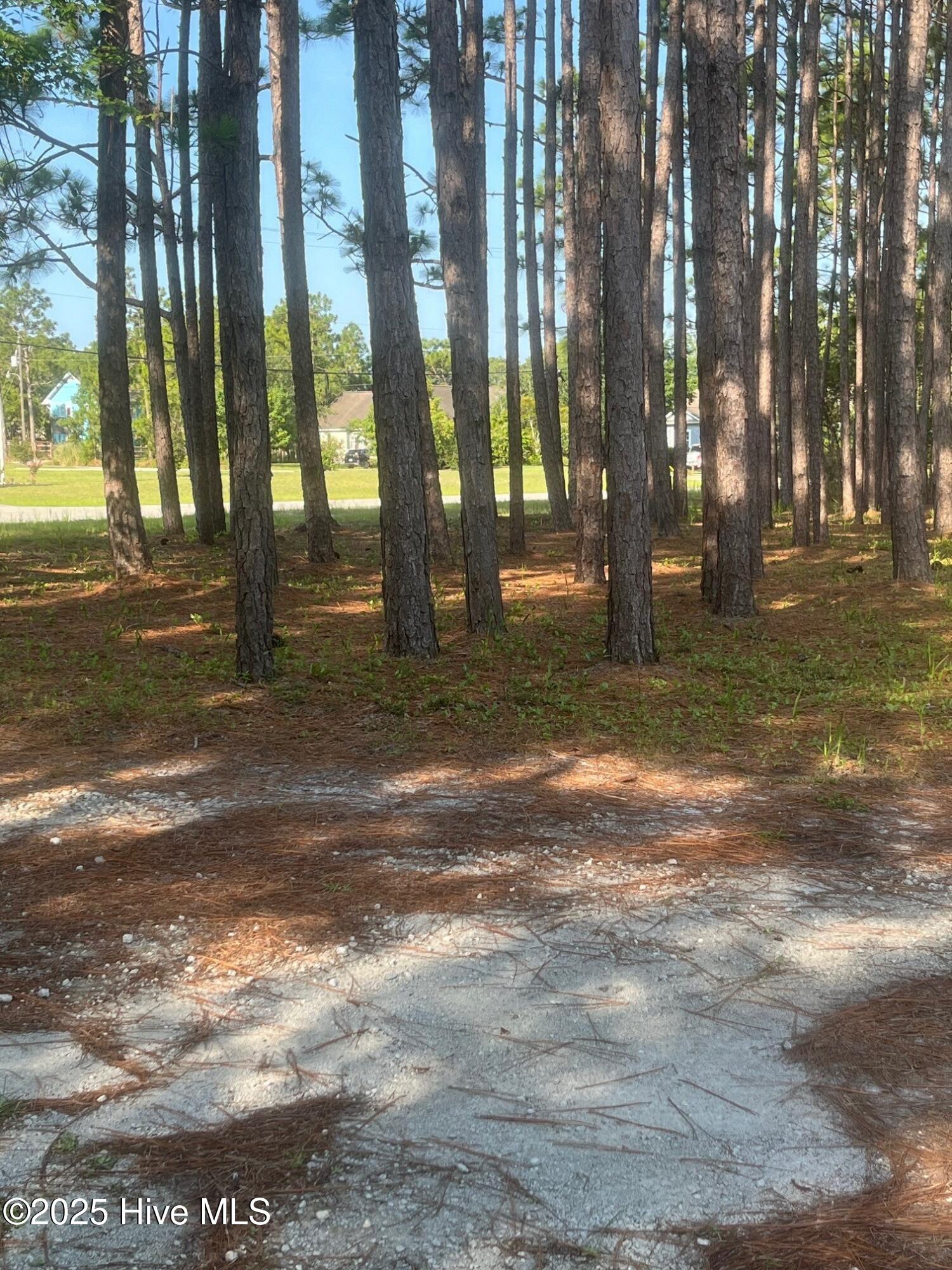 100512756 | Photo 59