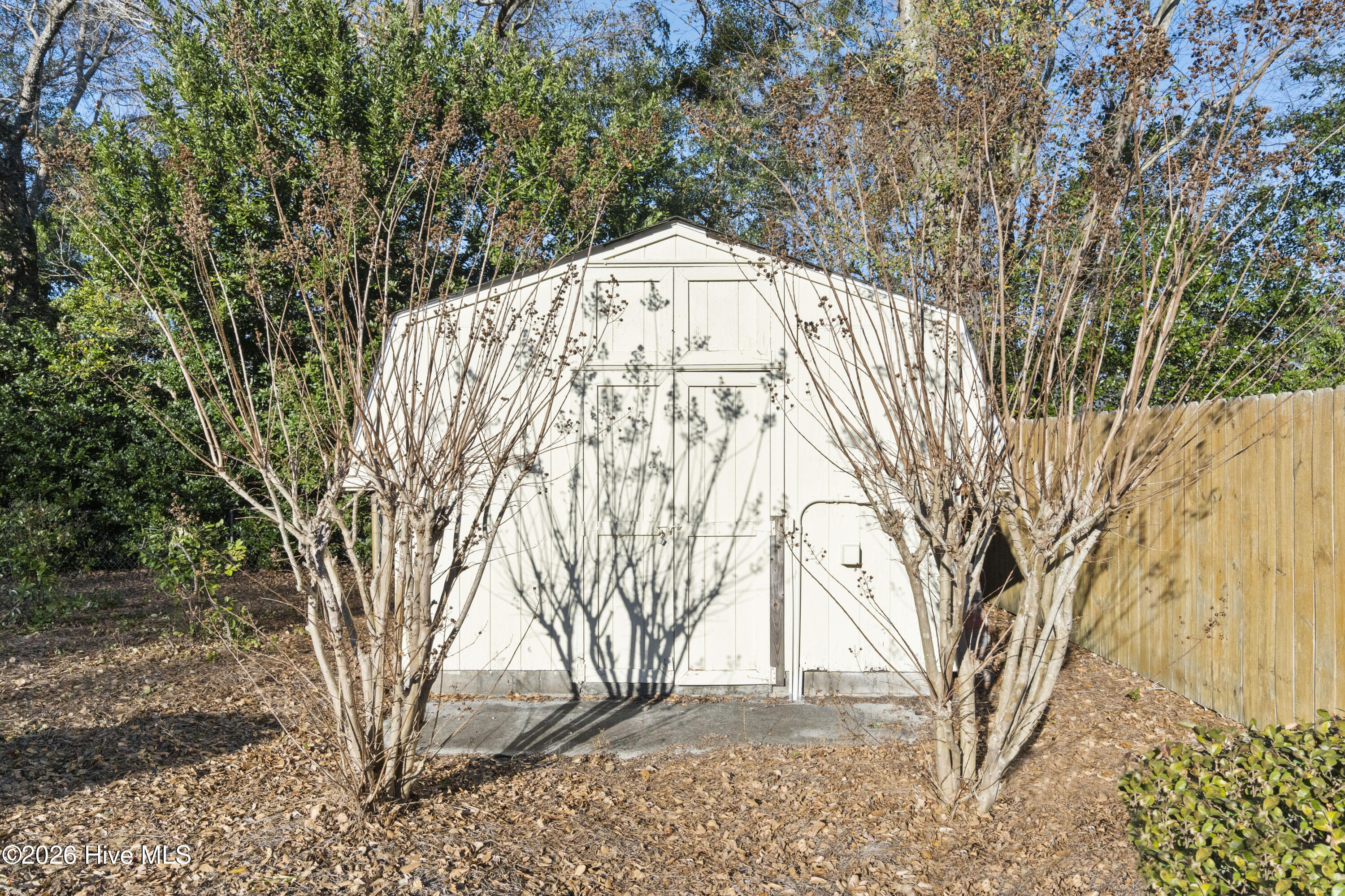 100549887 | Photo 51