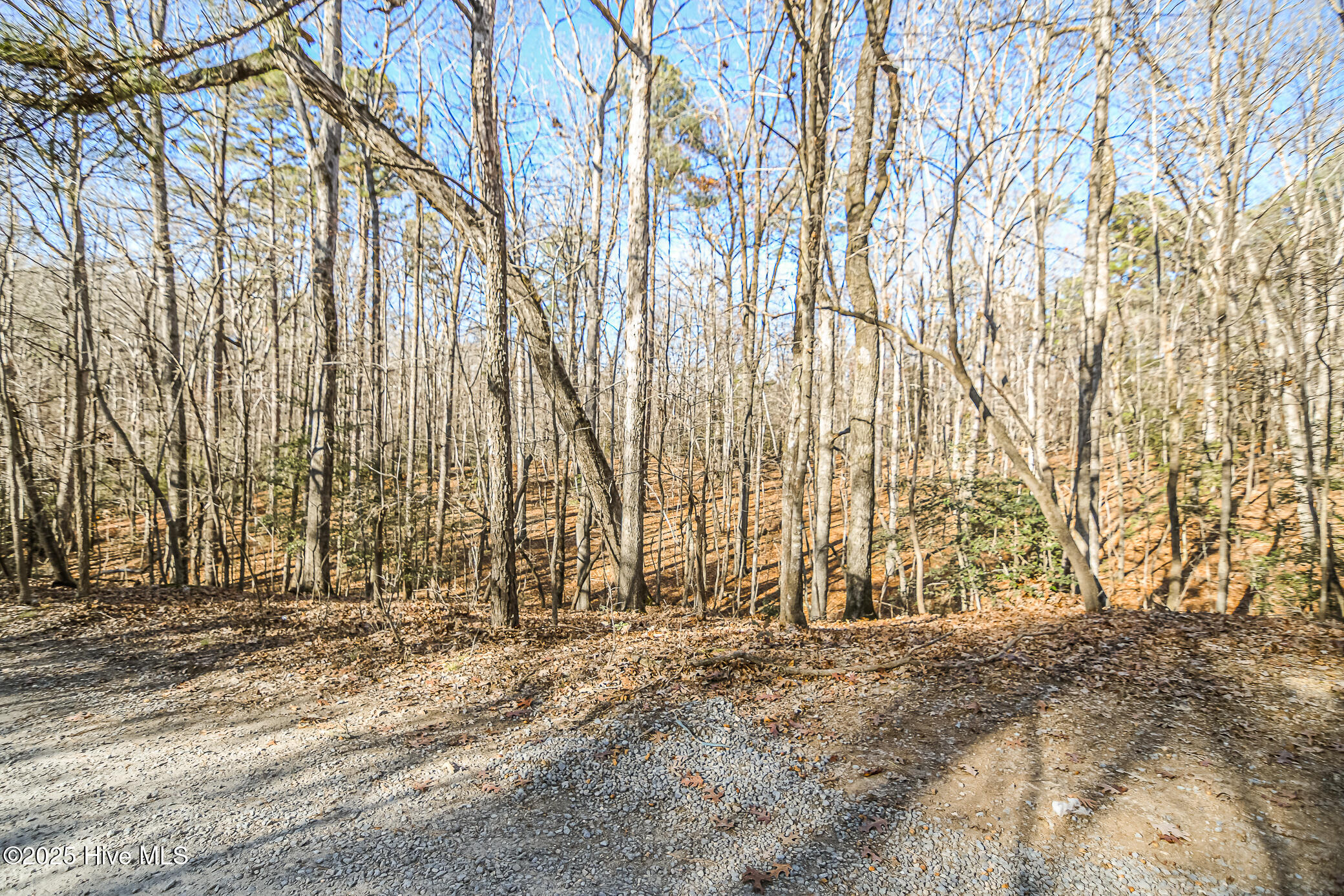 Homes for sale in Carthage, NC | 23 Equestrian Ln, Carthage, NC 28327 | MLS# 100546275