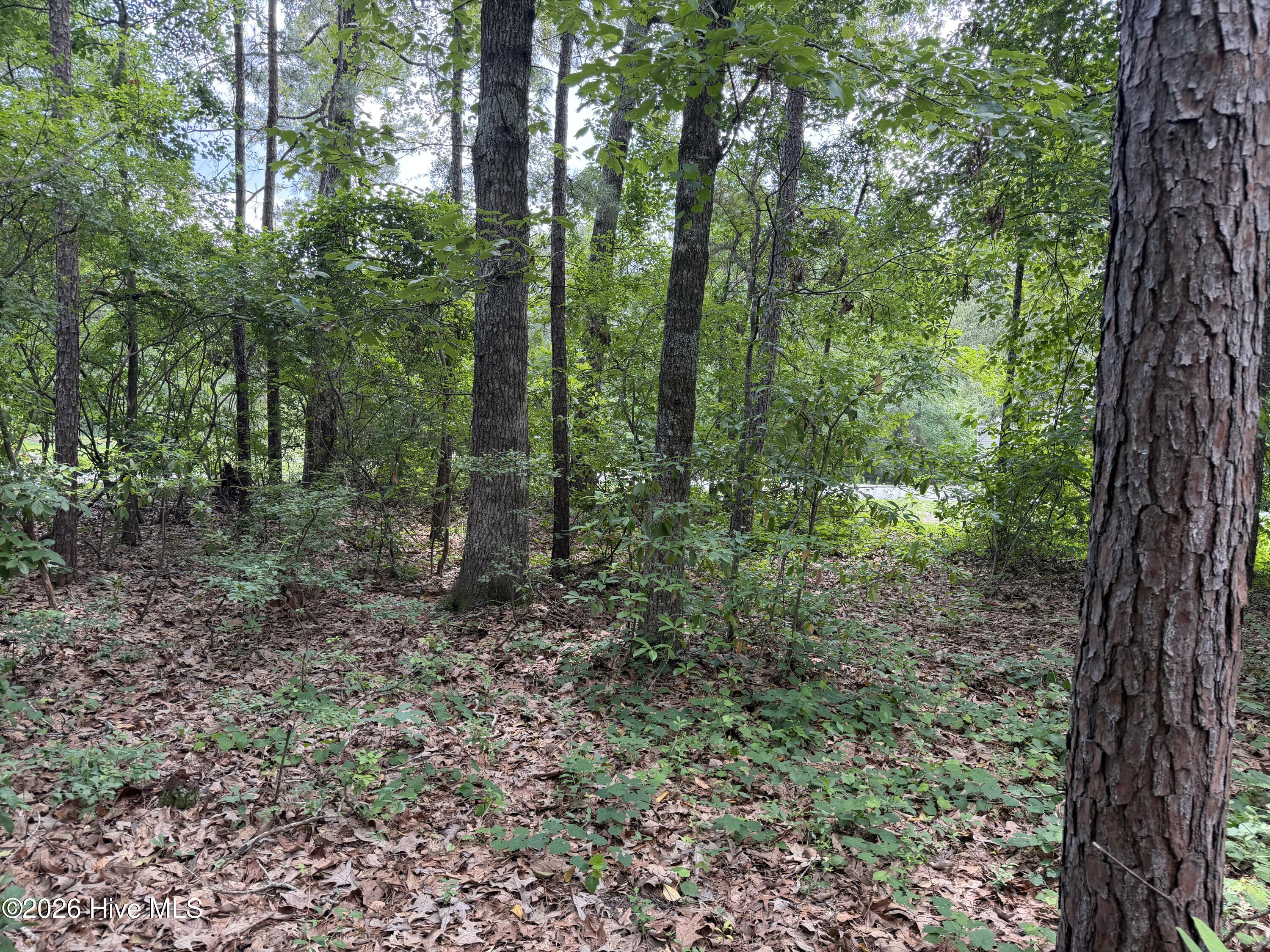 118 66 Ferret Run Lane,New Bern