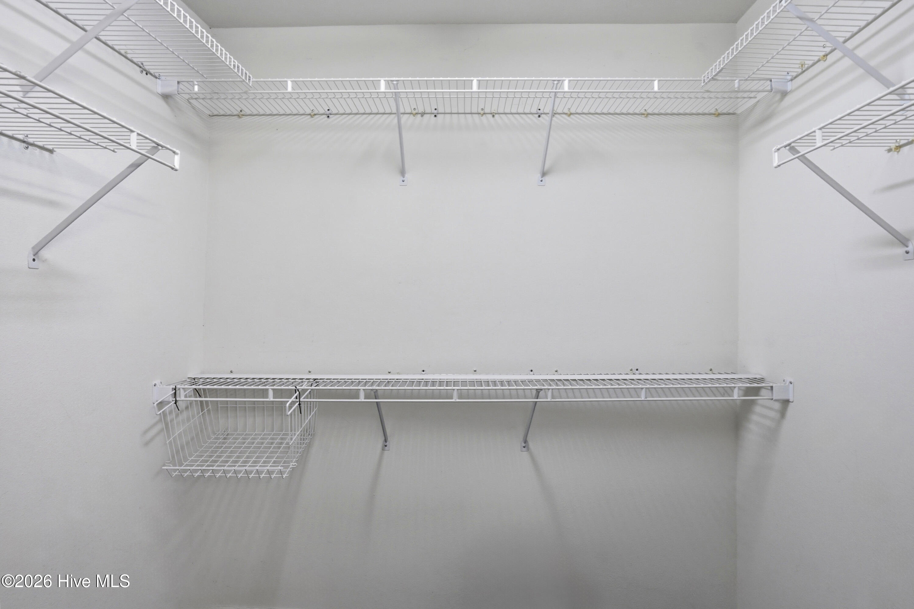 100564154 | Photo 19