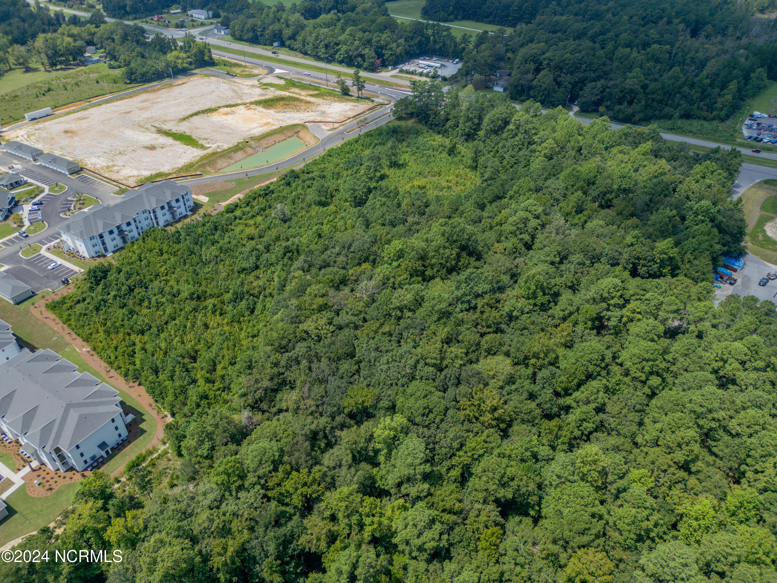 100462086 | Photo 10