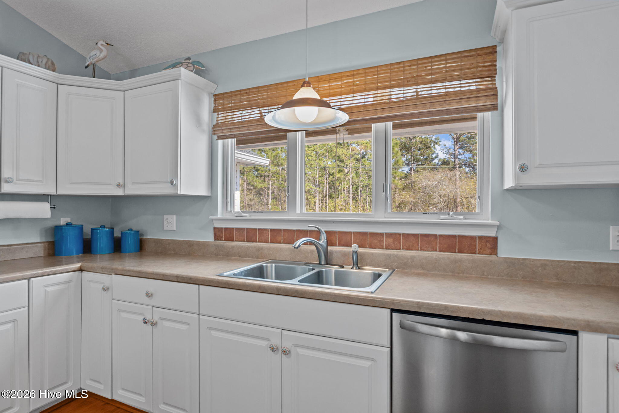 100564884 | Photo 10