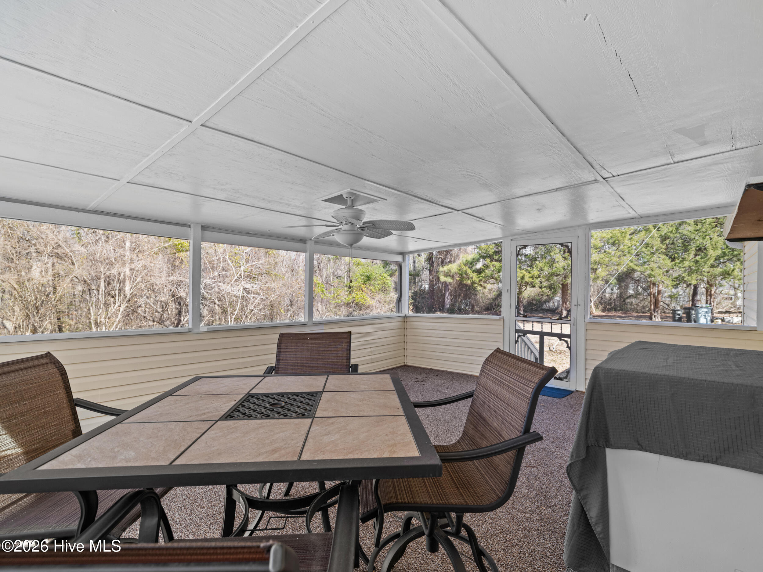 100556387 | Photo 43