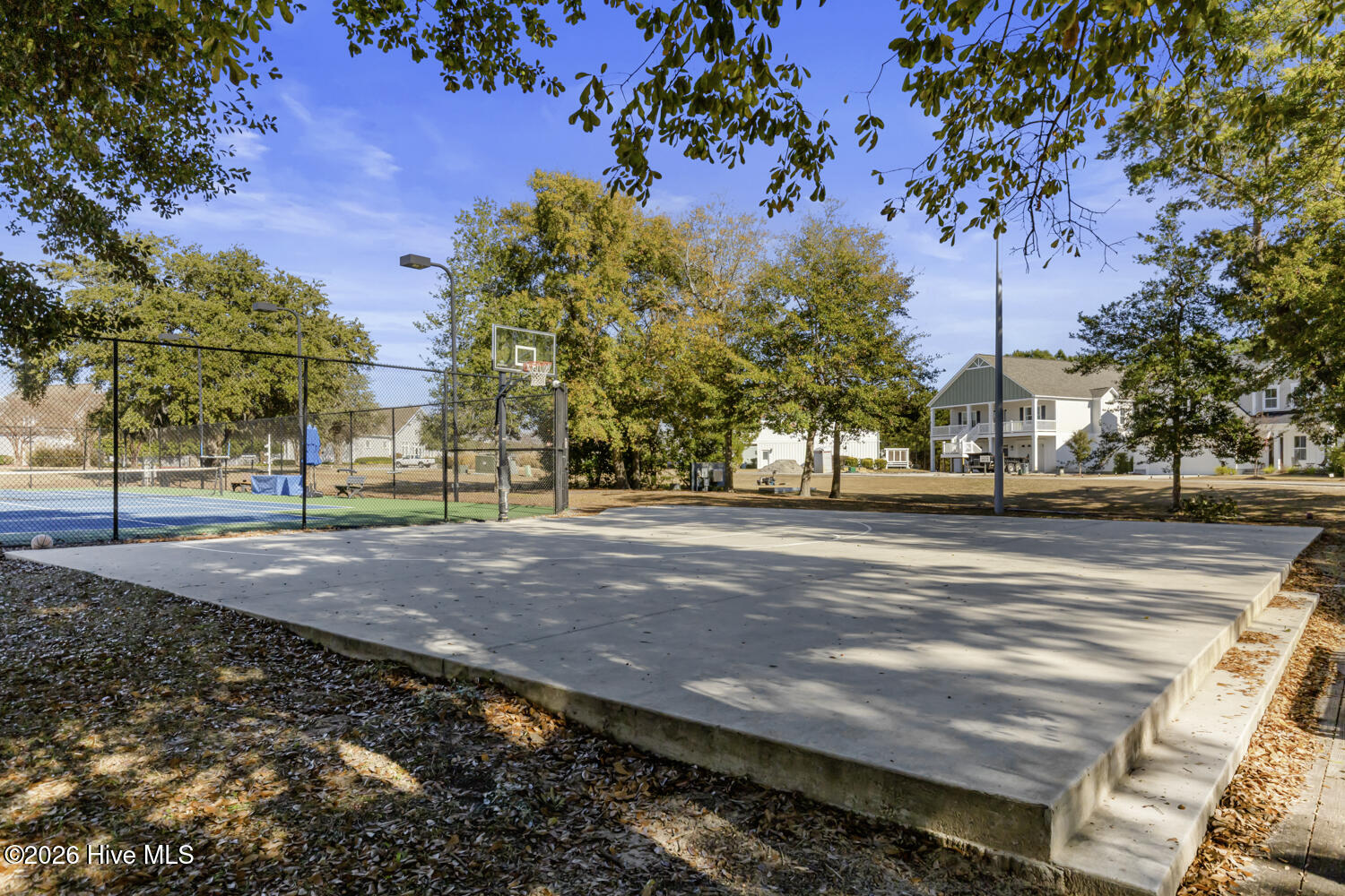 100557738 | Photo 62