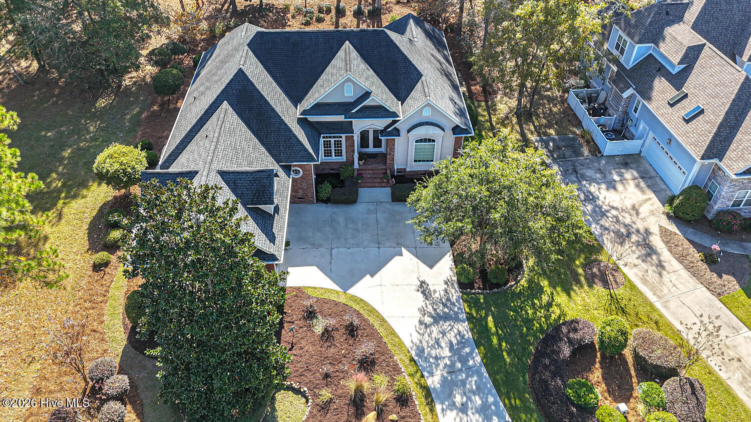 100551245 | Photo 64