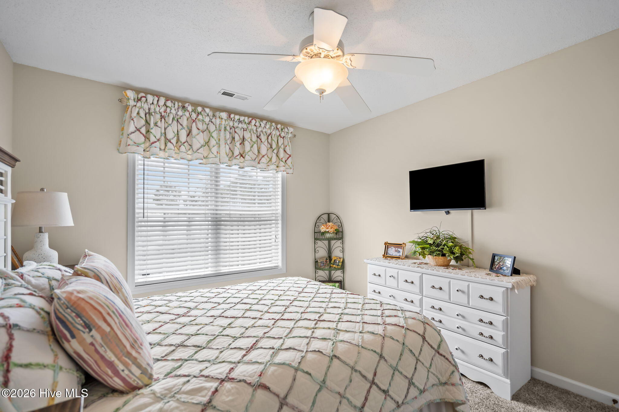 100557863 | Photo 34