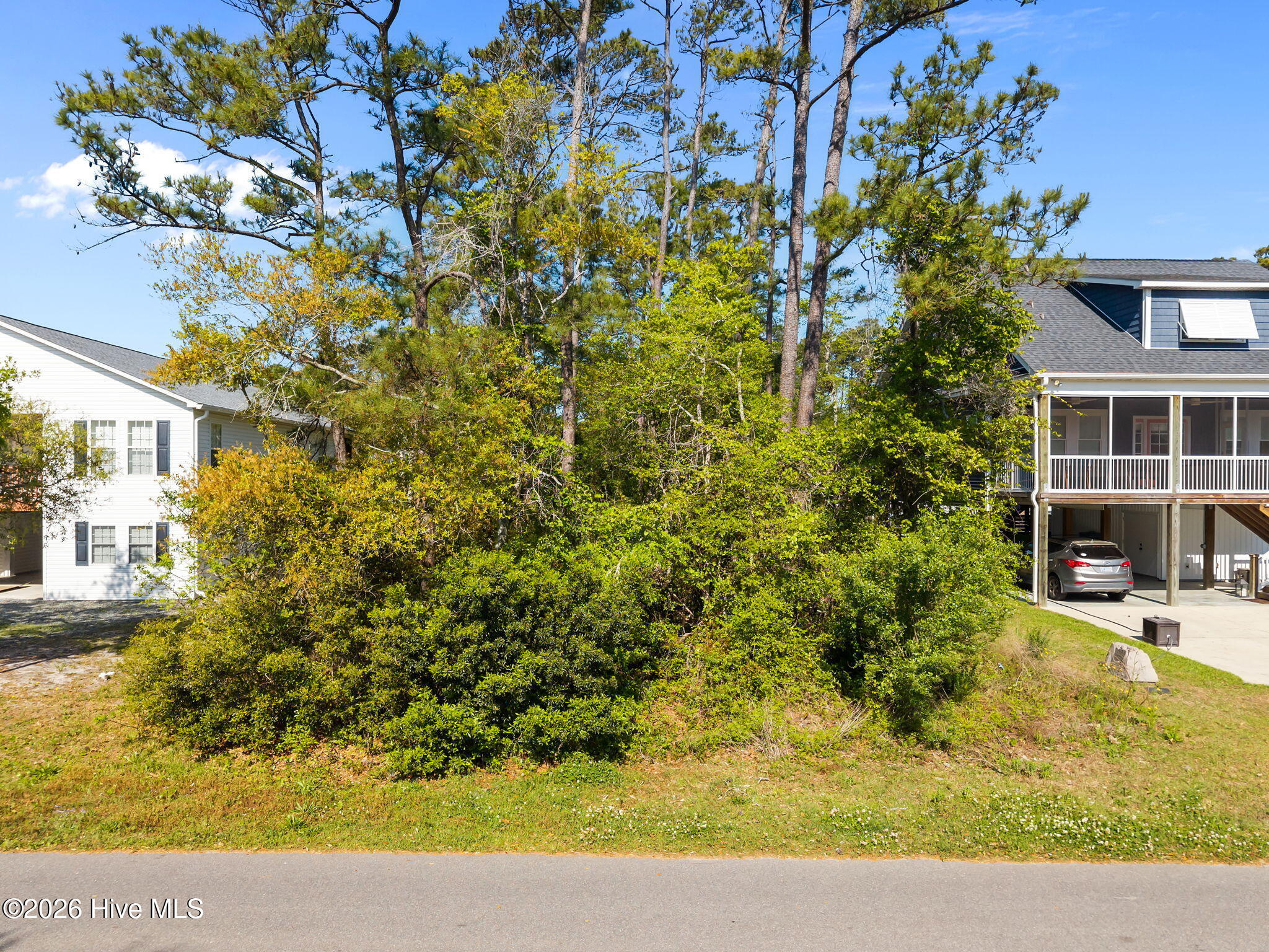 100567981 | Photo 13