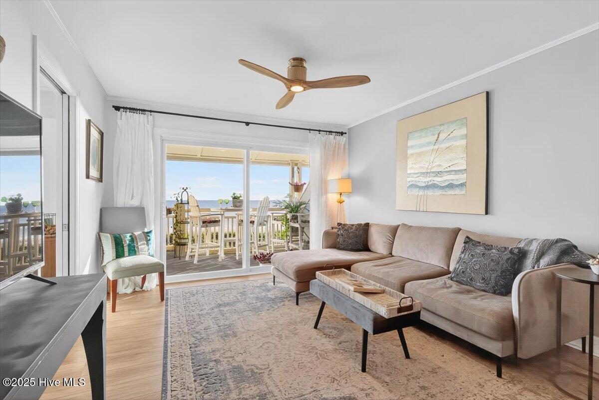 100537947 | Photo 11