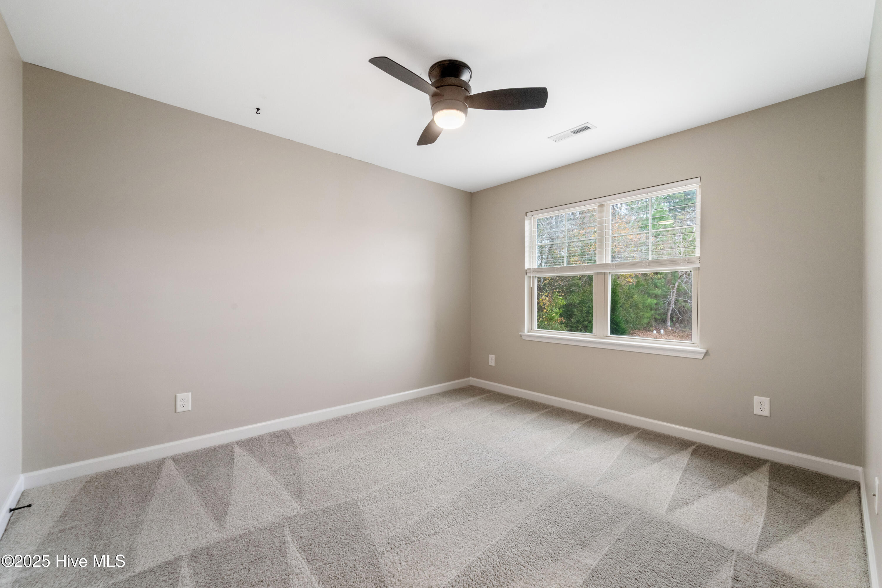 100538677 | Photo 13