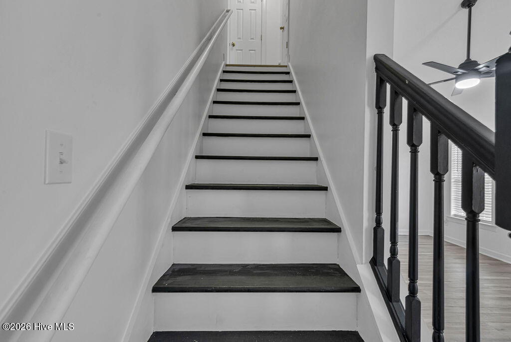 100550458 | Photo 17