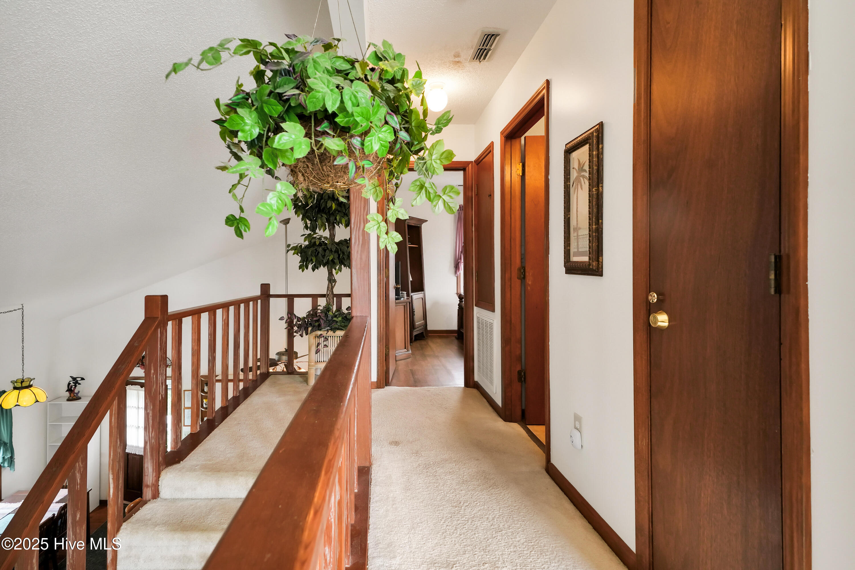 100530451 | Photo 23