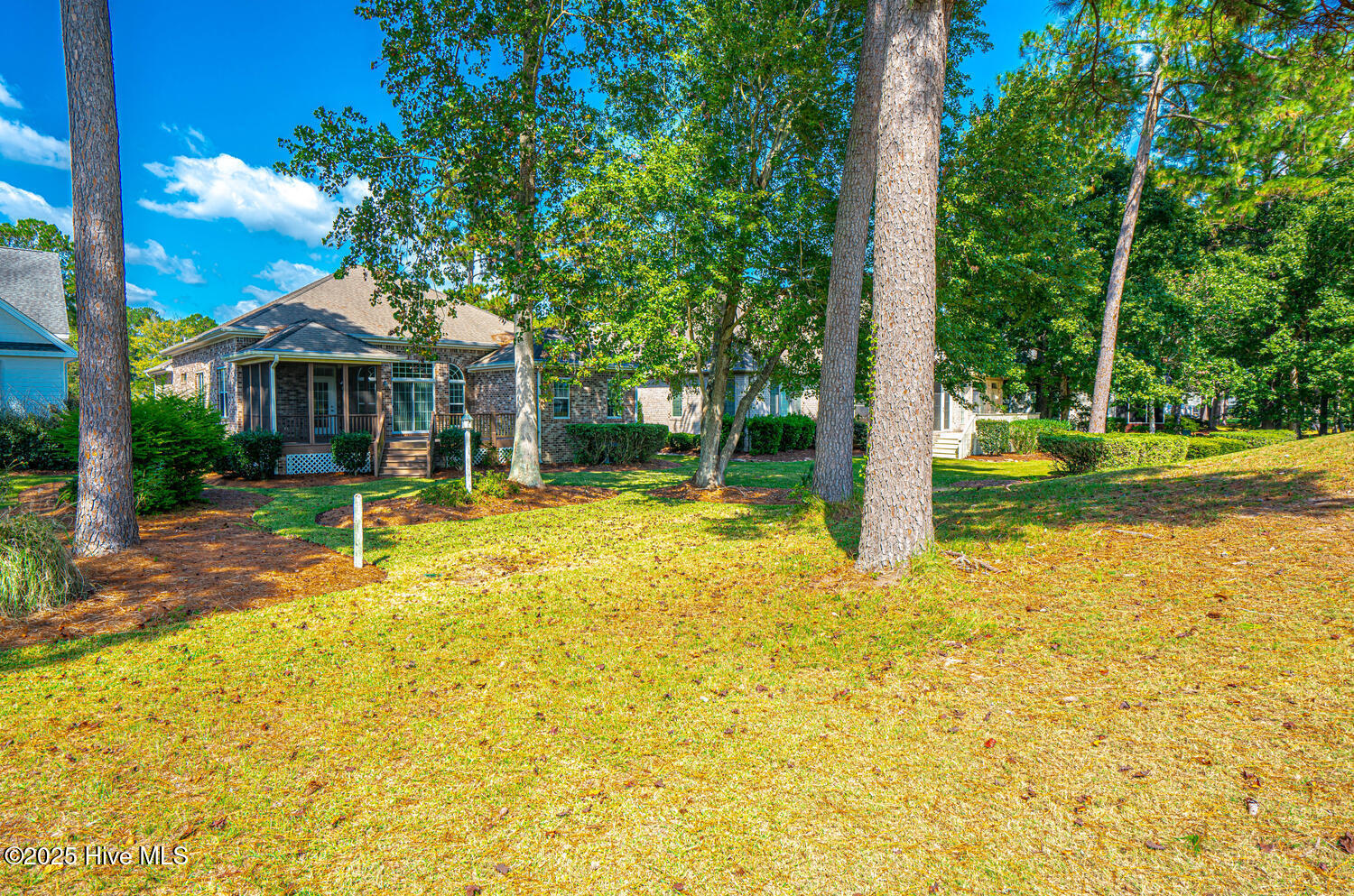 100538756 | Photo 45