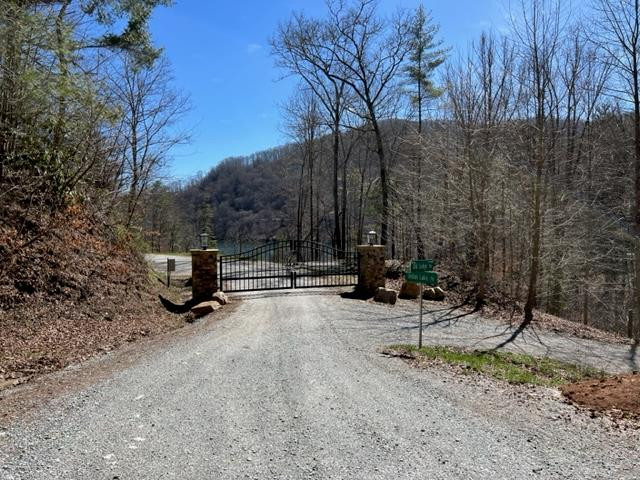 Homes for sale in Topton, NC | Lot 41 Indian Lake Dr, Topton, NC 28781 | MLS# 98544198