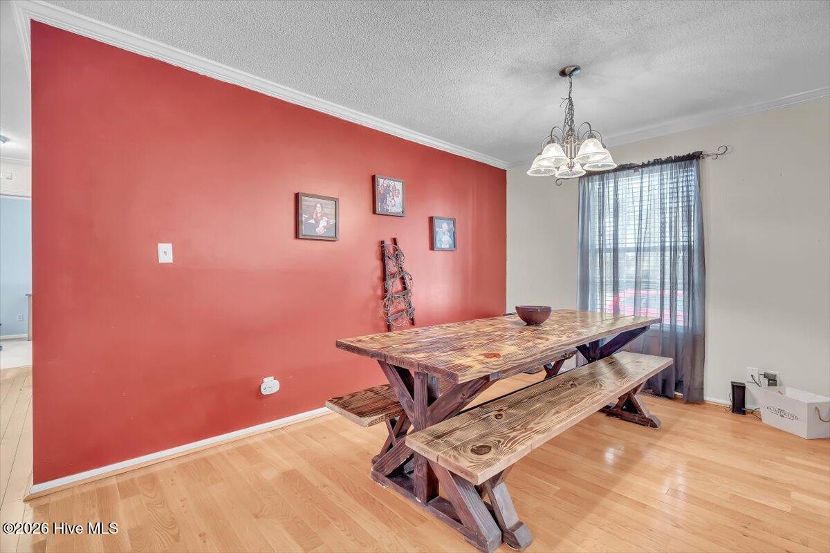 100549997 | Photo 16