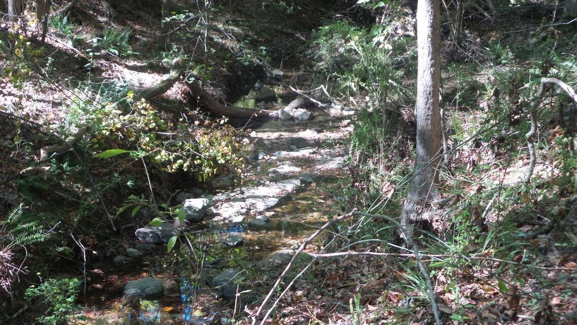 0 Kelly Street, Lincolnton, GA, 30817