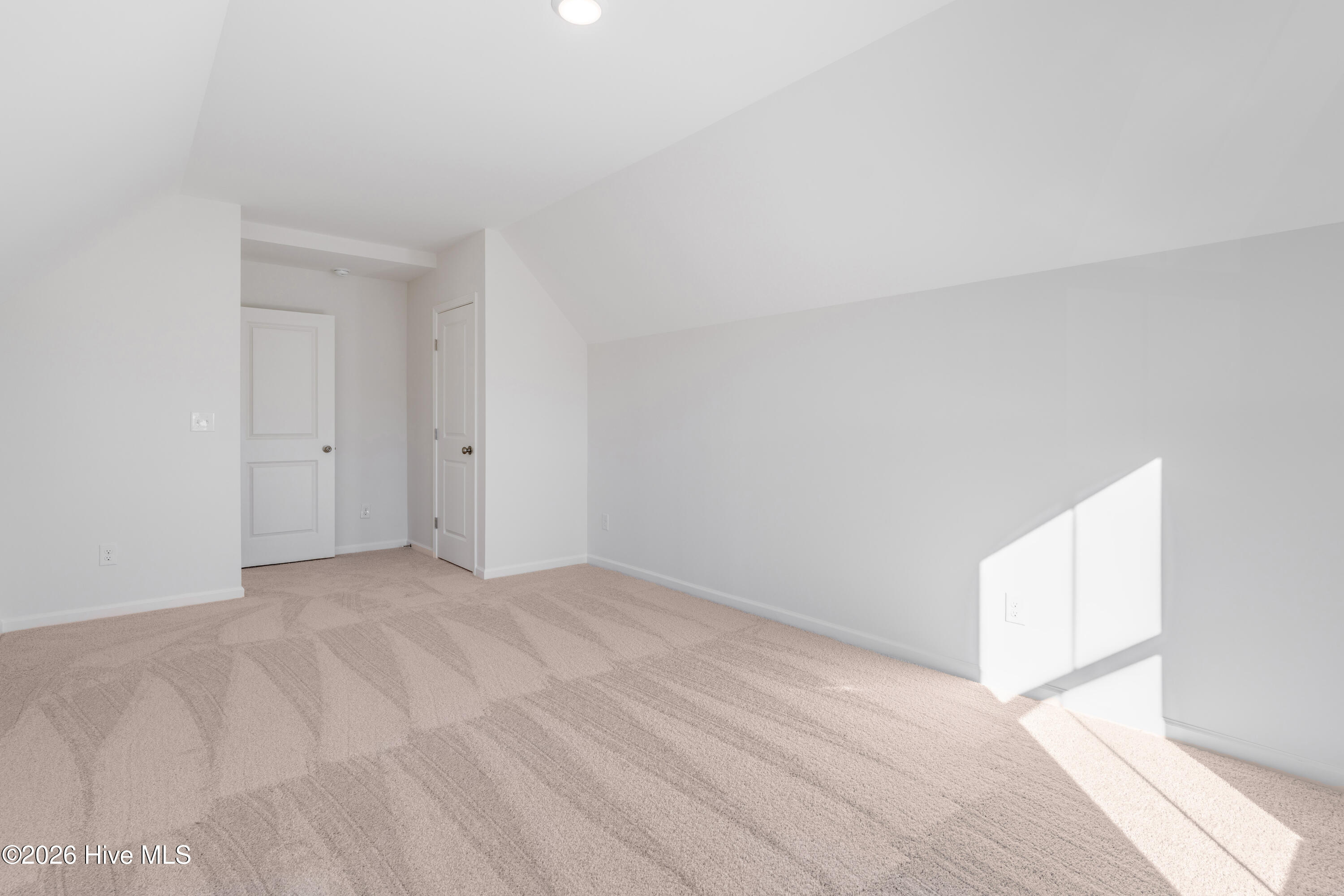 100563545 | Photo 24