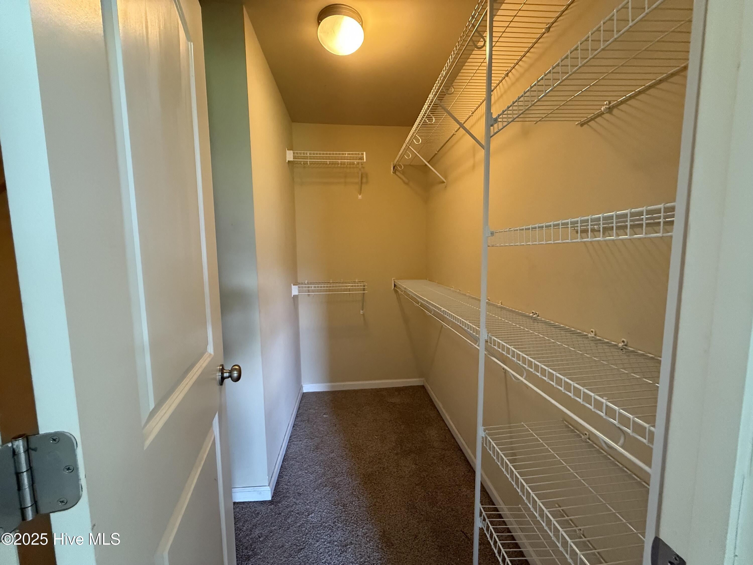 100566630 | Photo 13