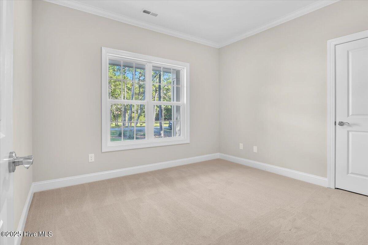 100505838 | Photo 53