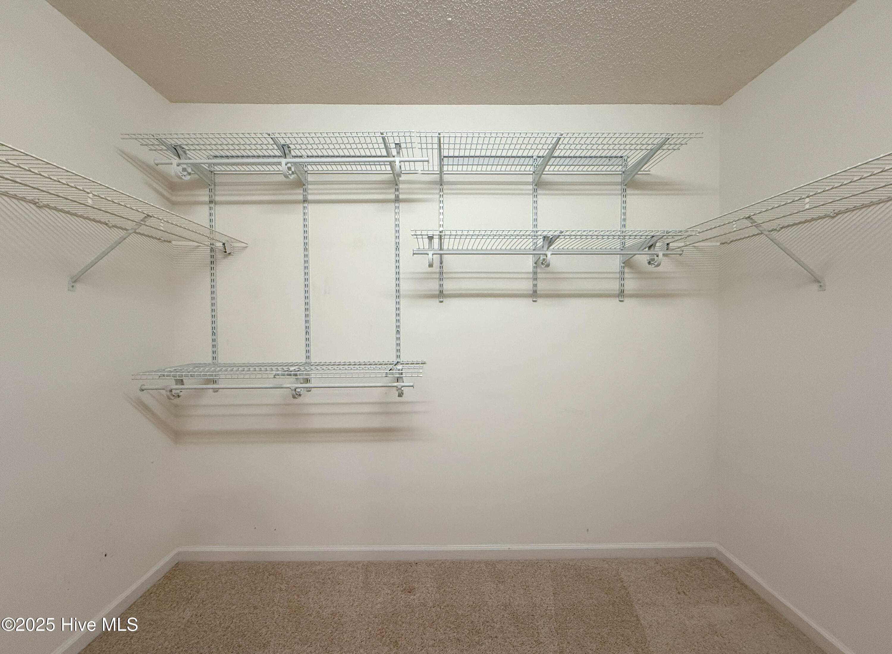 100542356 | Photo 28