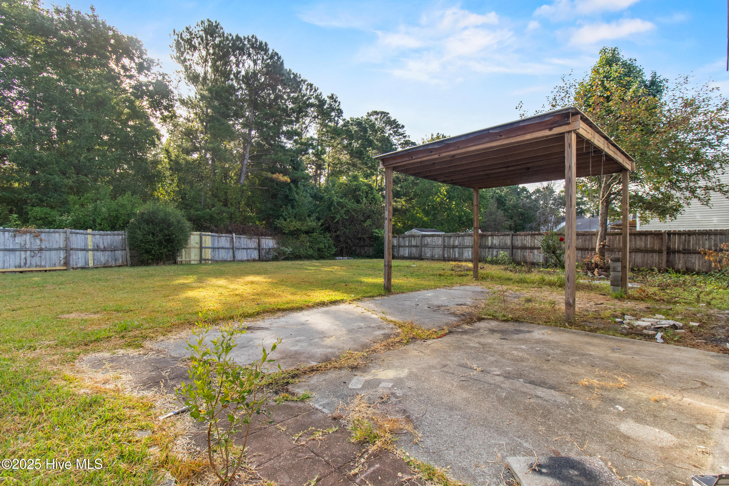 100532655 | Photo 36