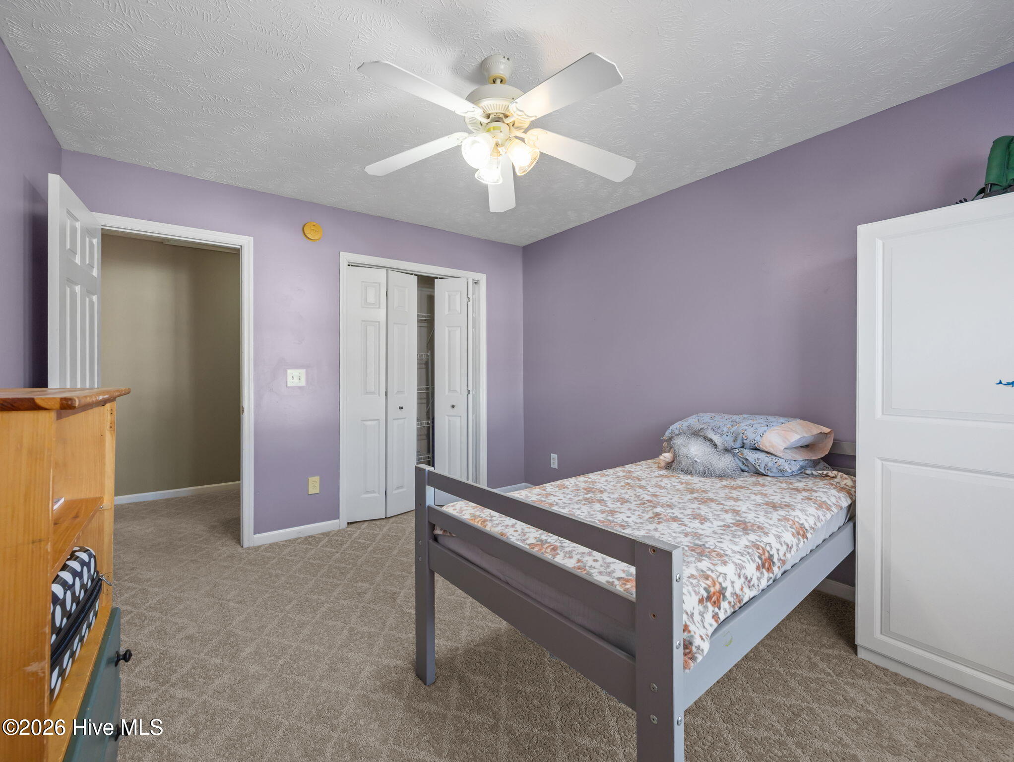 100566788 | Photo 26