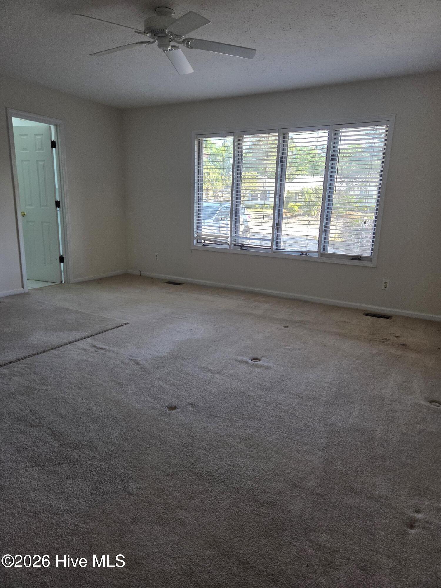 100568652 | Photo 17