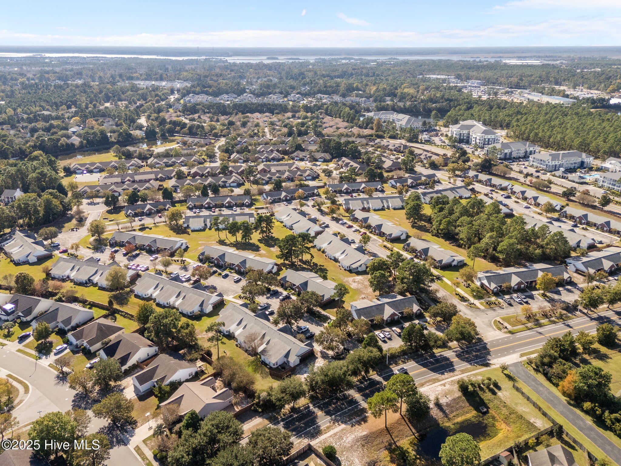 100537786 | Photo 34