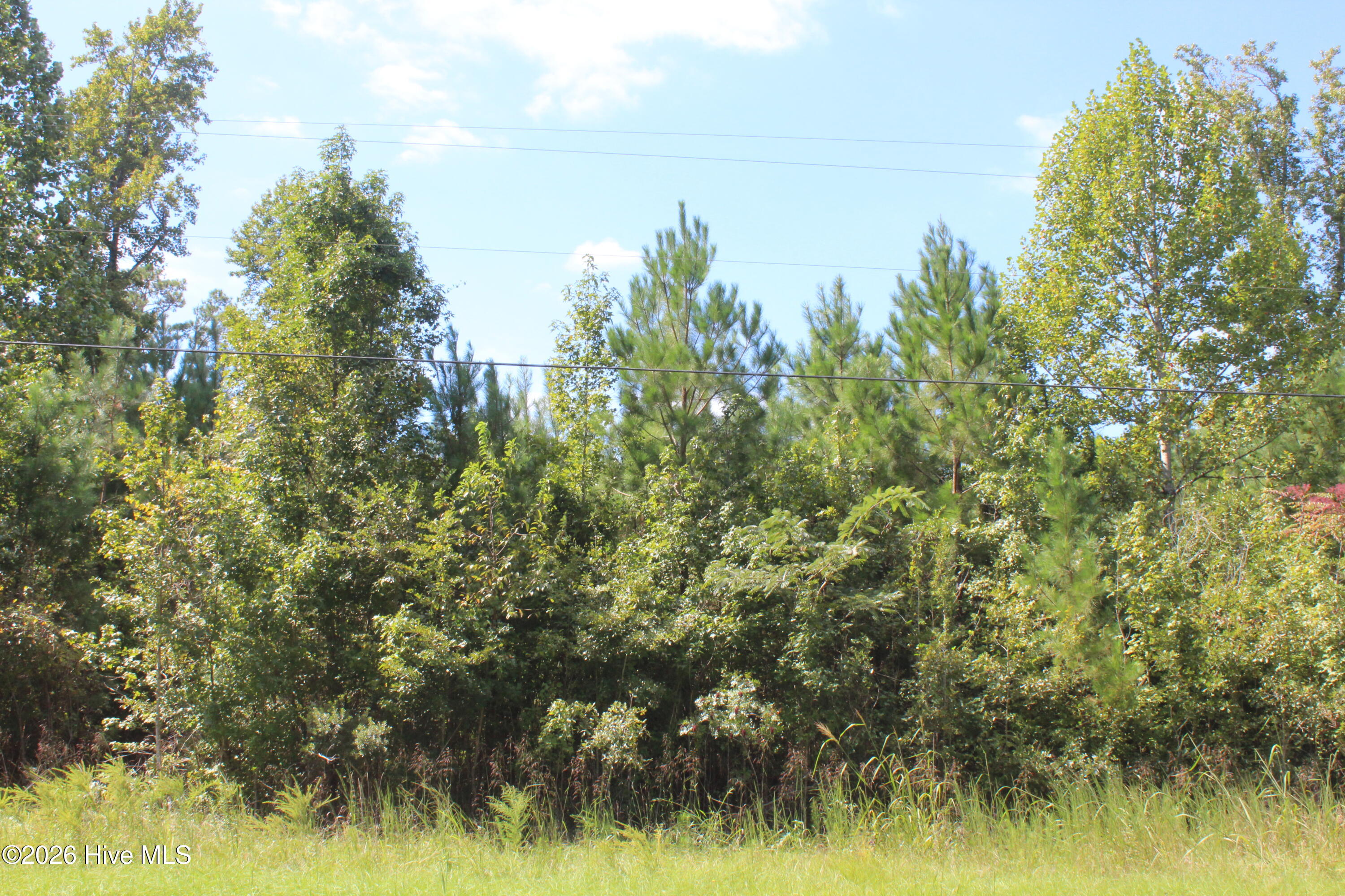 100606552 | Photo 2