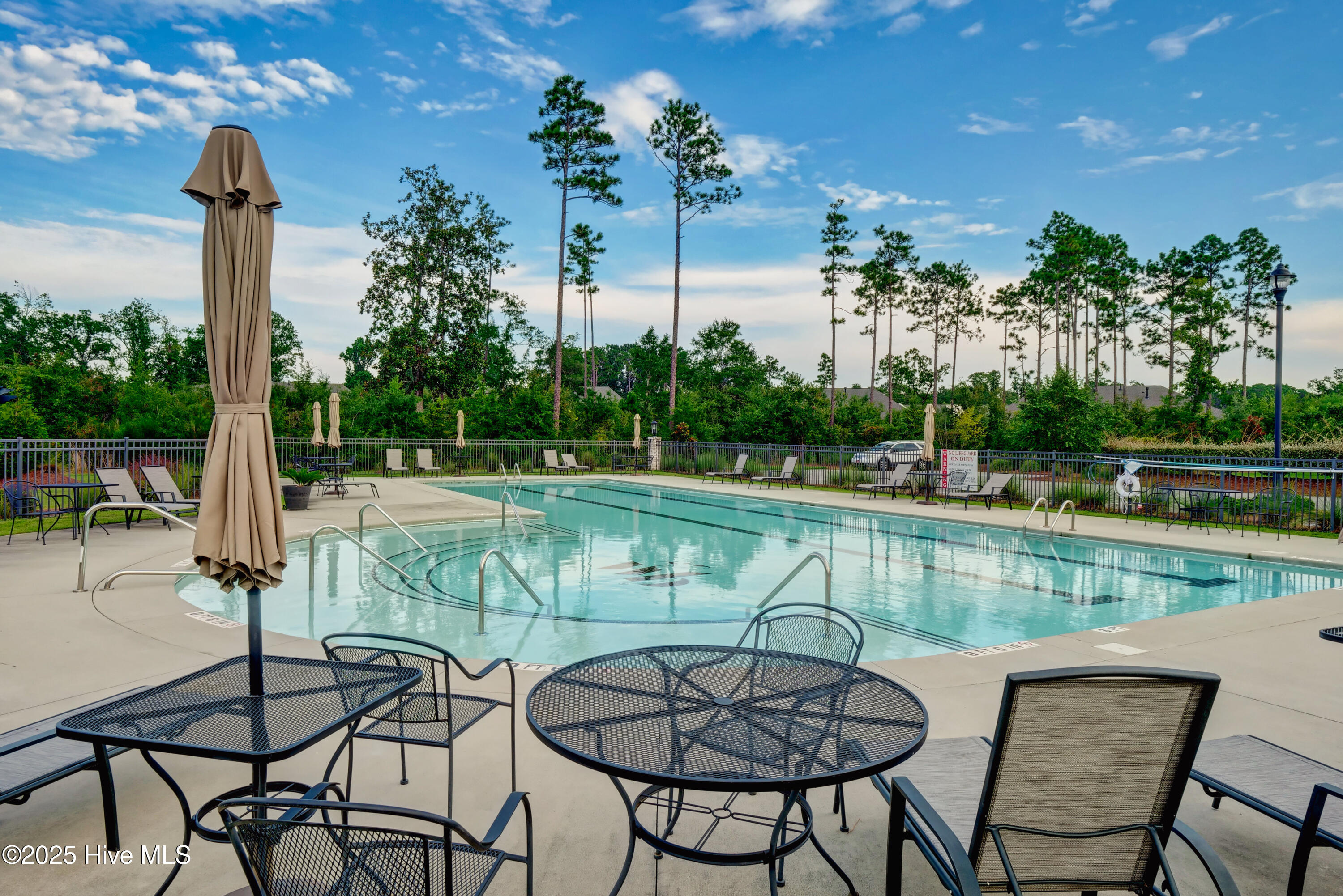 100529241 | Photo 31