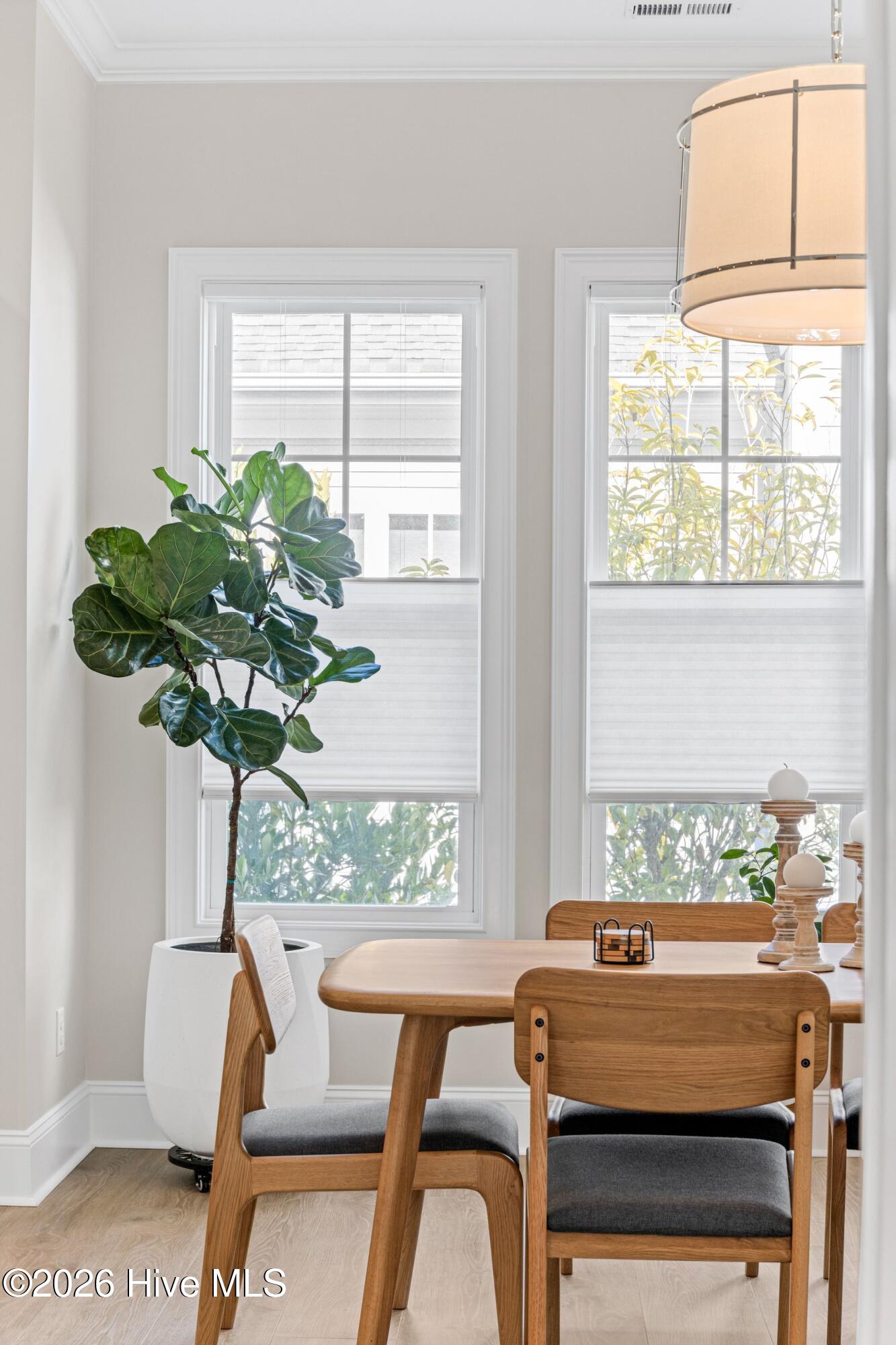 100553656 | Photo 11