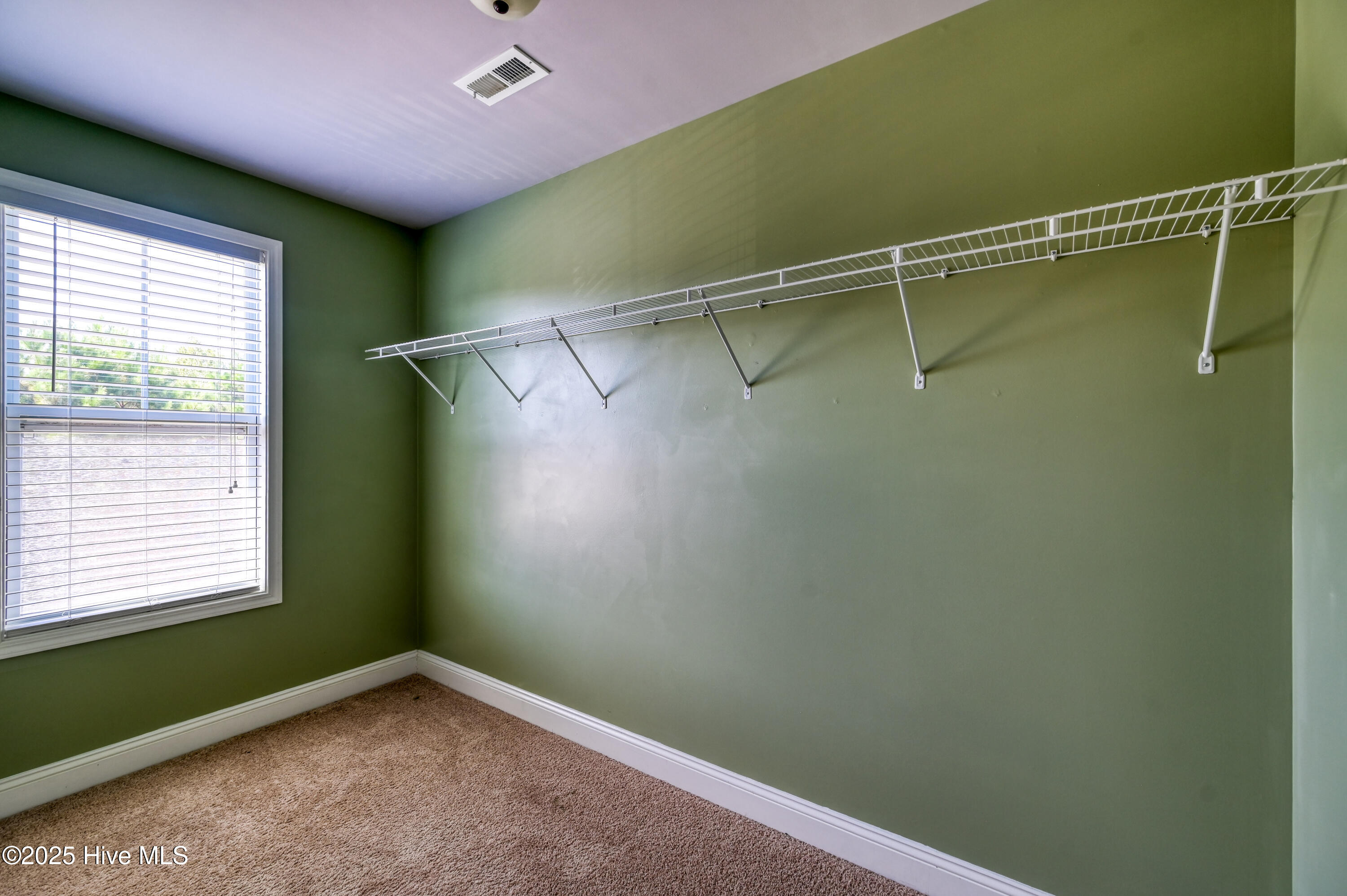 100531923 | Photo 28