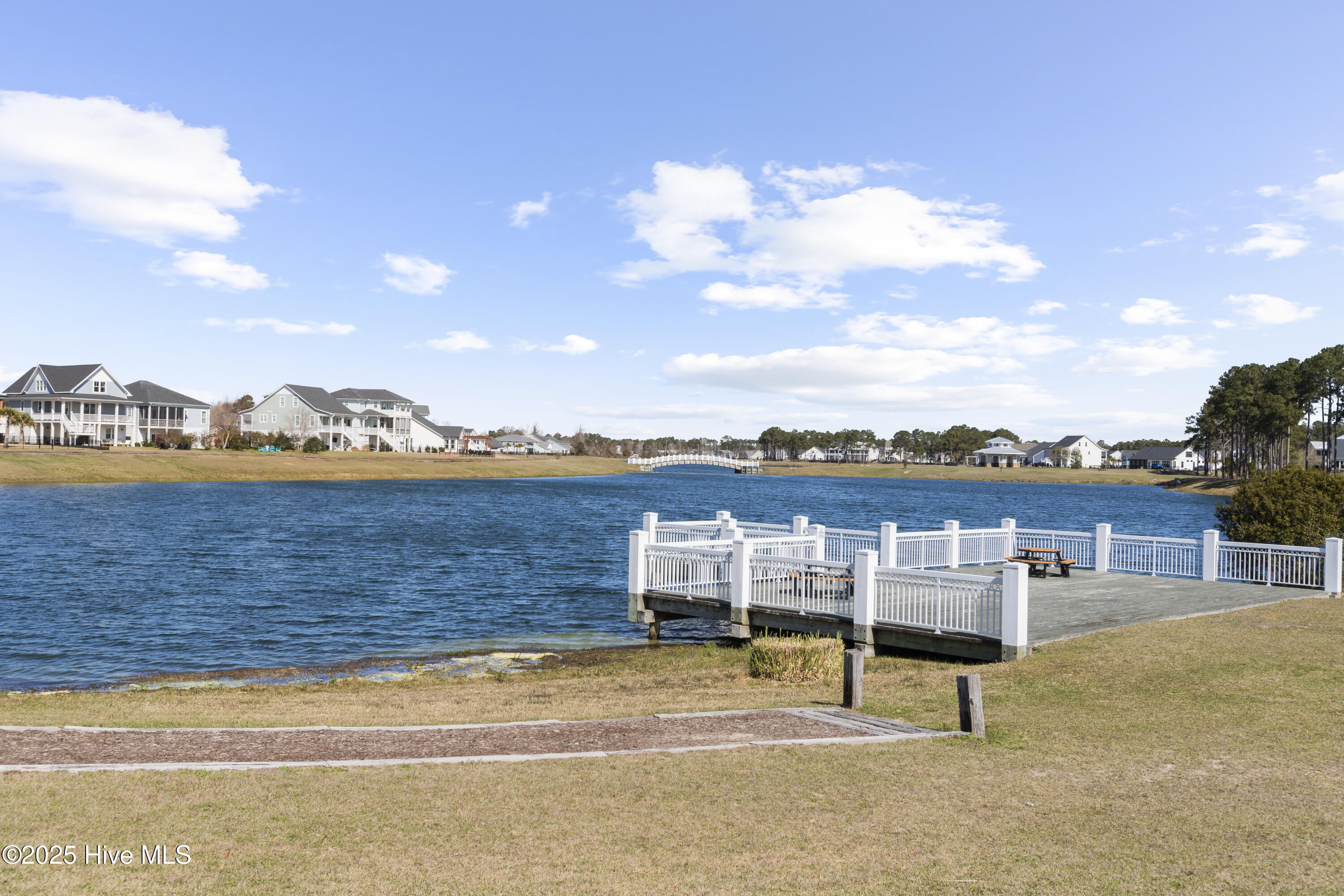 100519801 | Photo 30