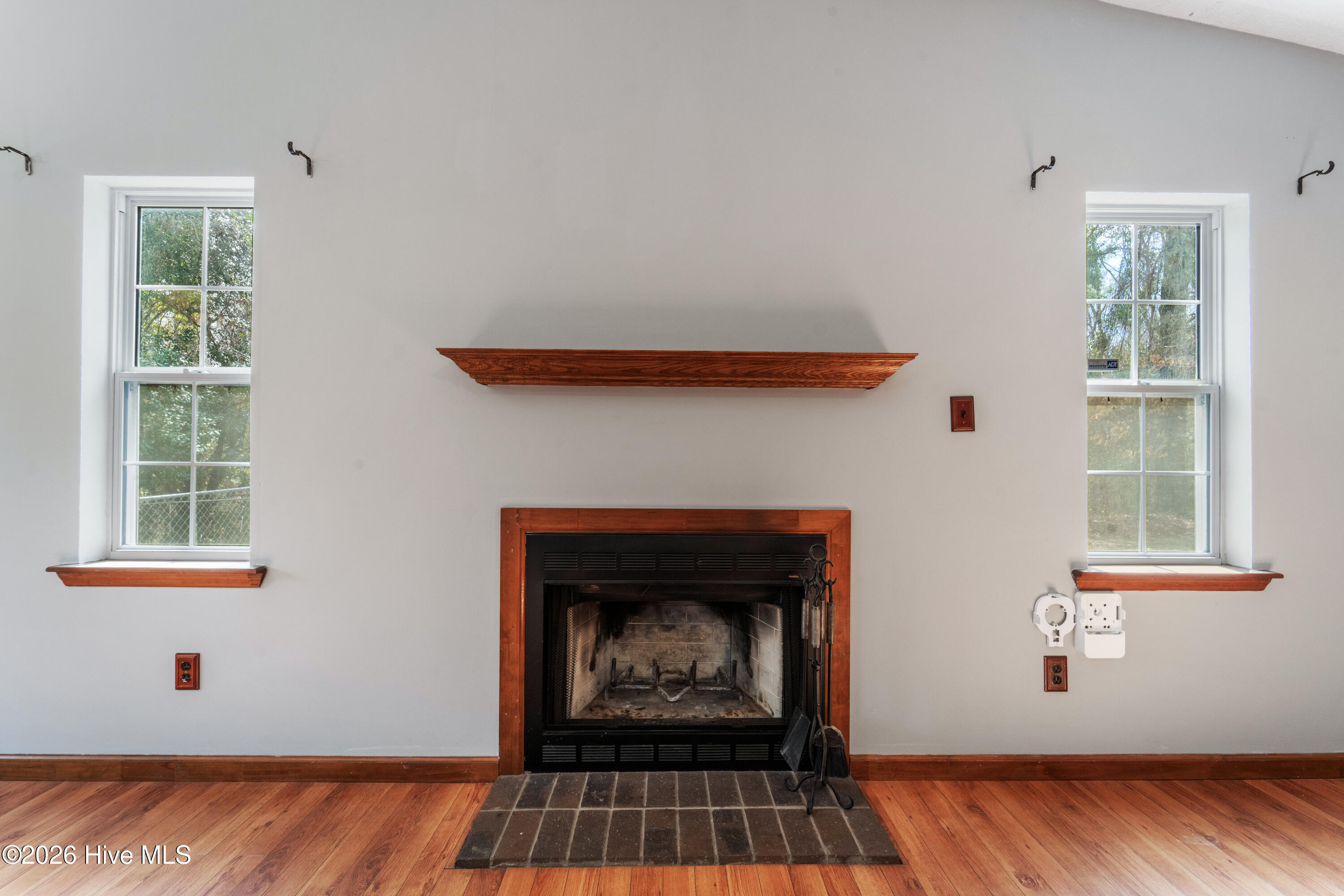 100557968 | Photo 14