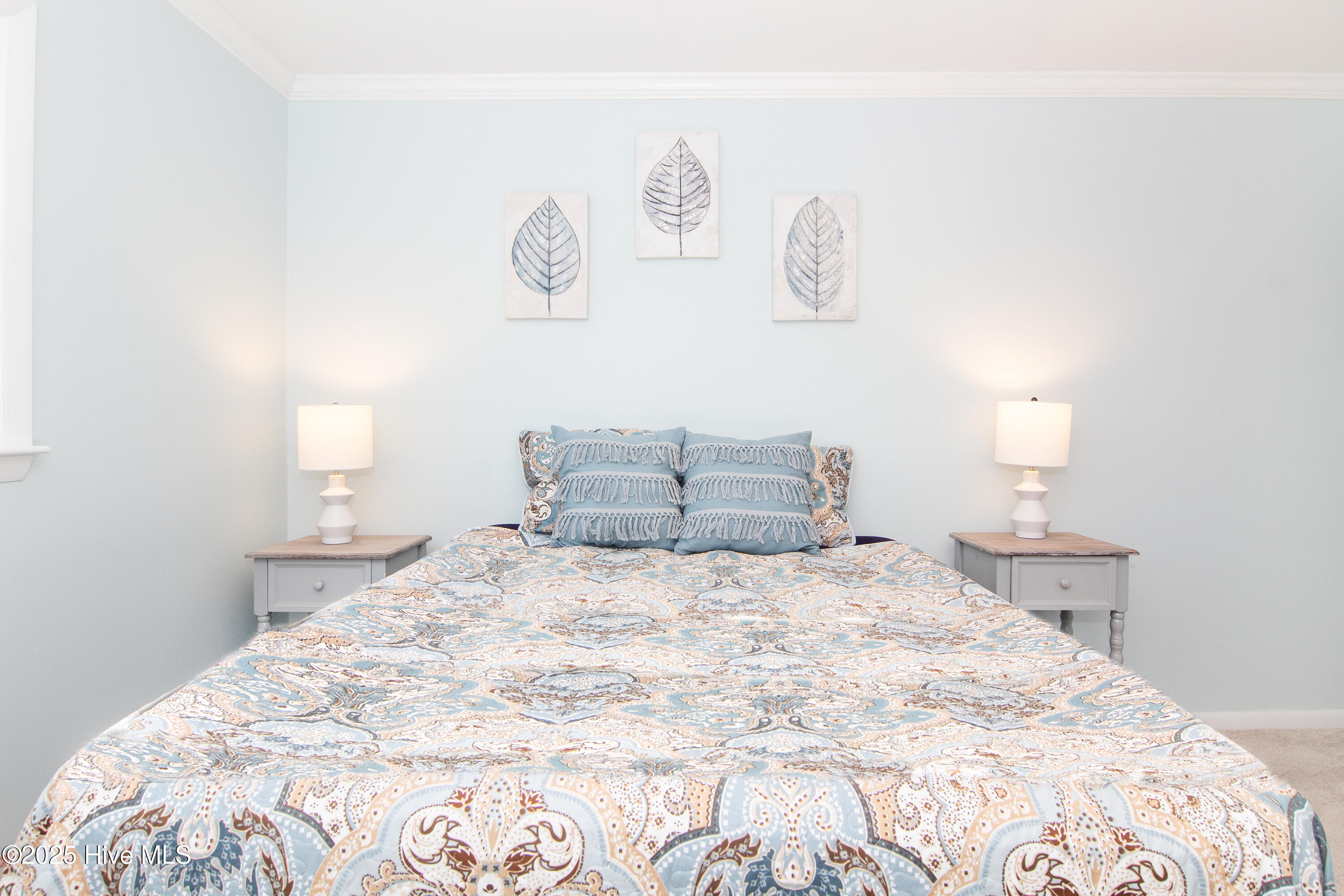 100545586 | Photo 21