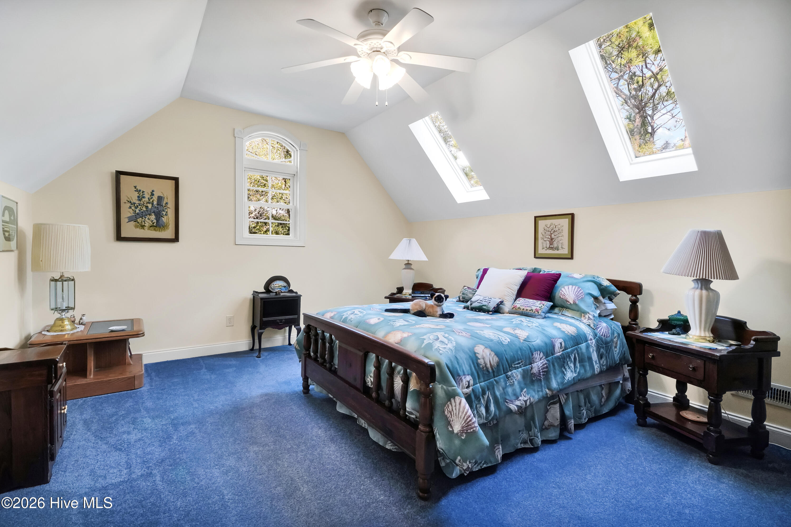 100549452 | Photo 24