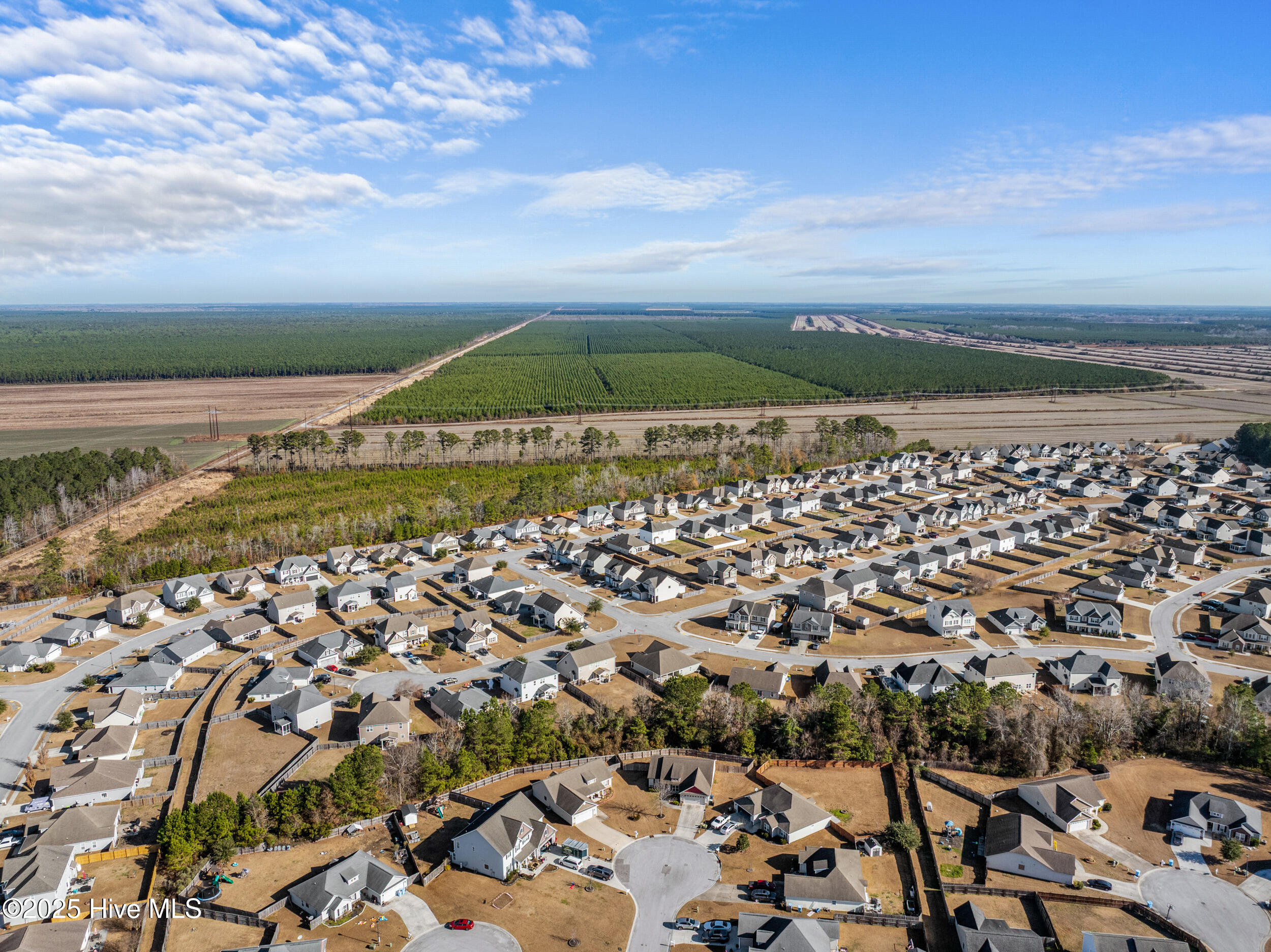 100546969 | Photo 50