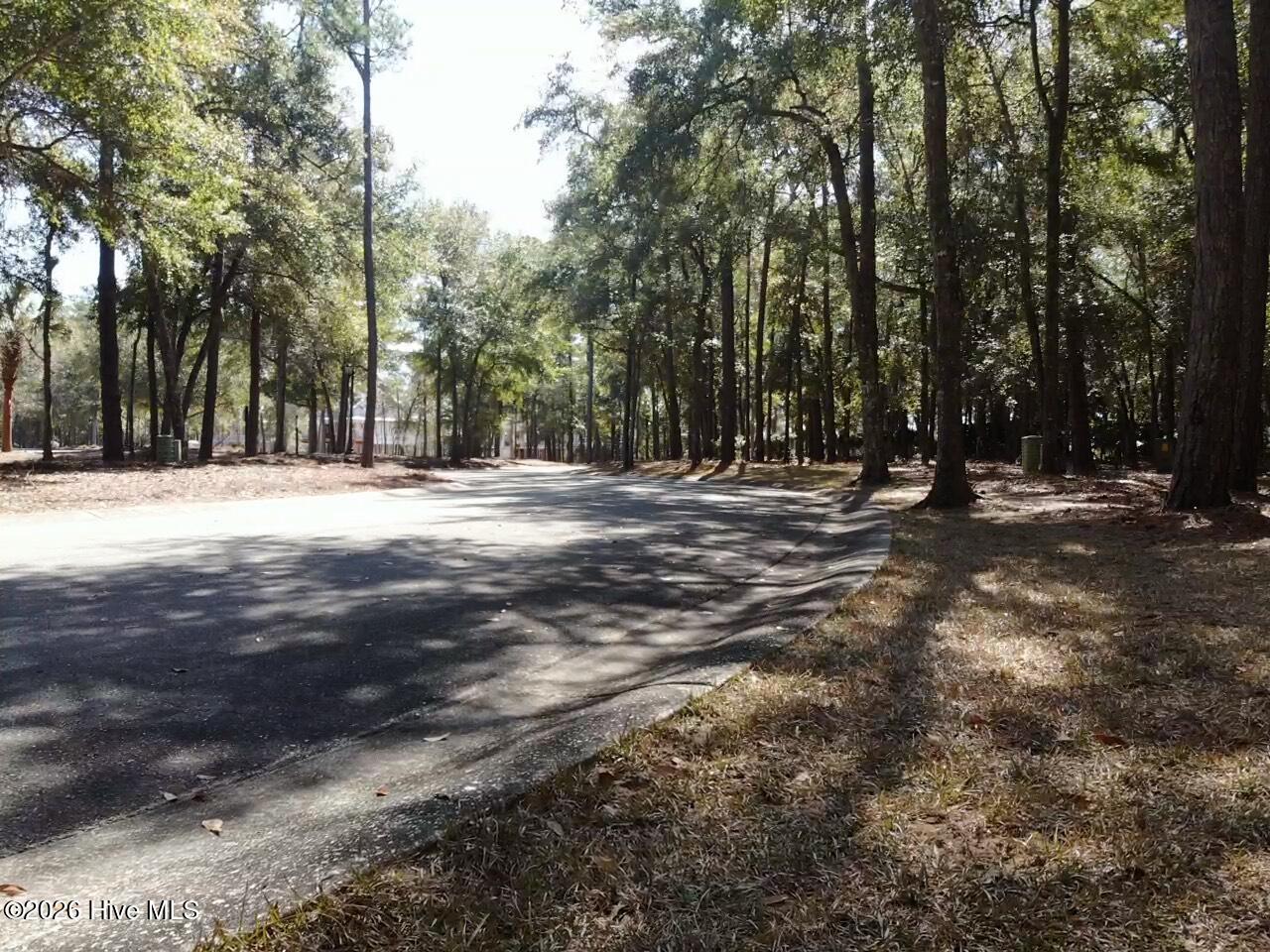 100559095 | Photo 17