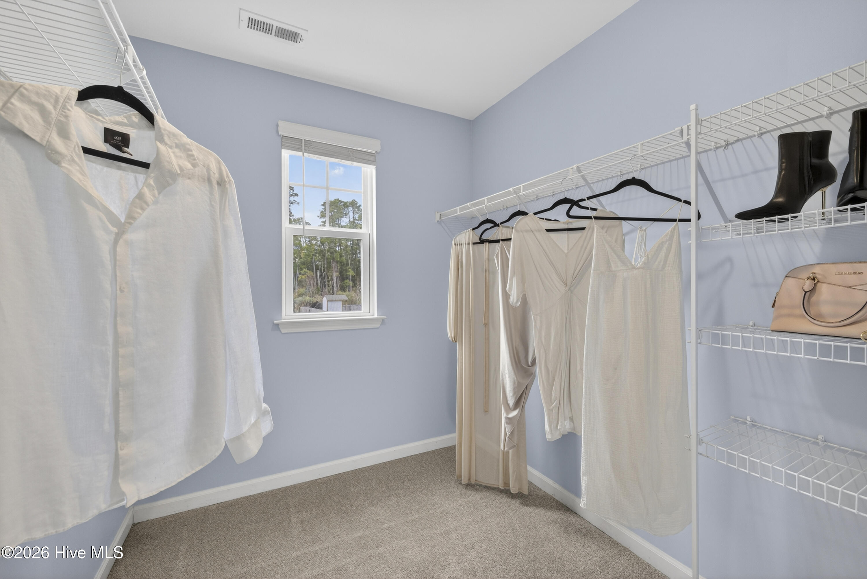 100558263 | Photo 28